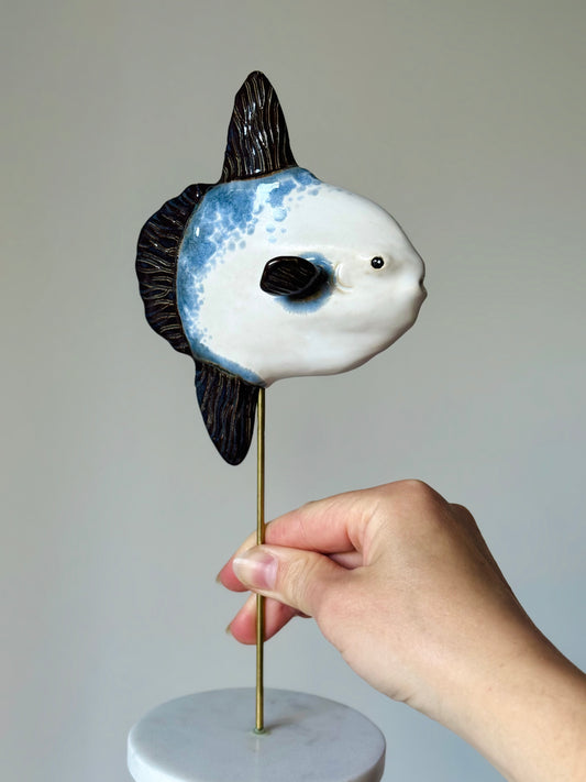 Mola Mola