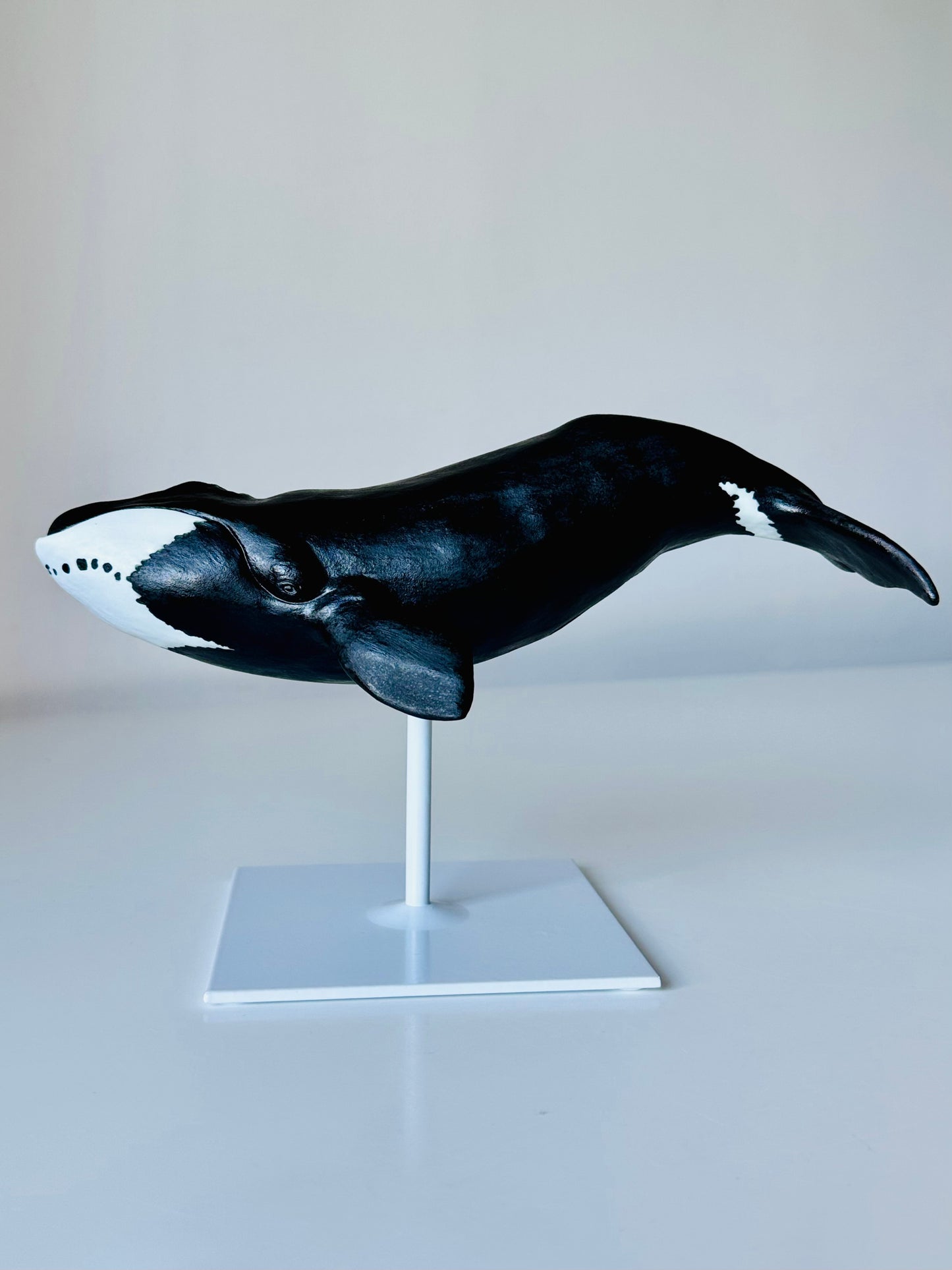 Bowhead Whale