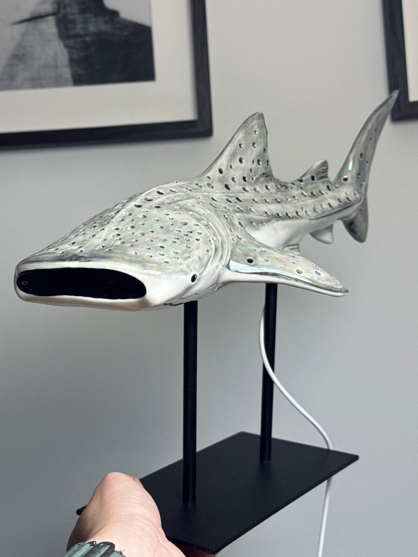Shark Lamp