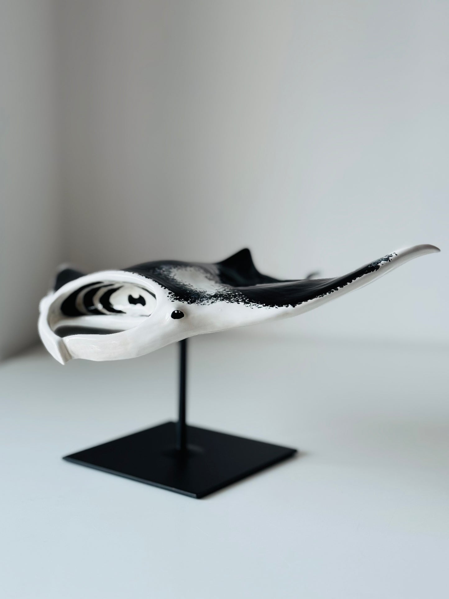 Big Manta Ray