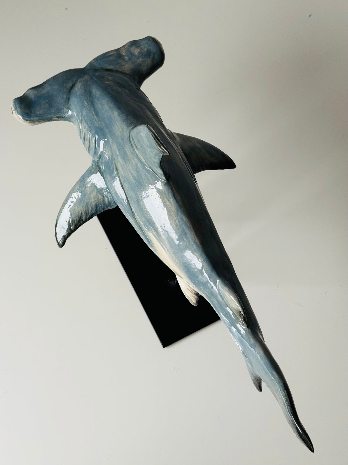 Hammerhead Shark