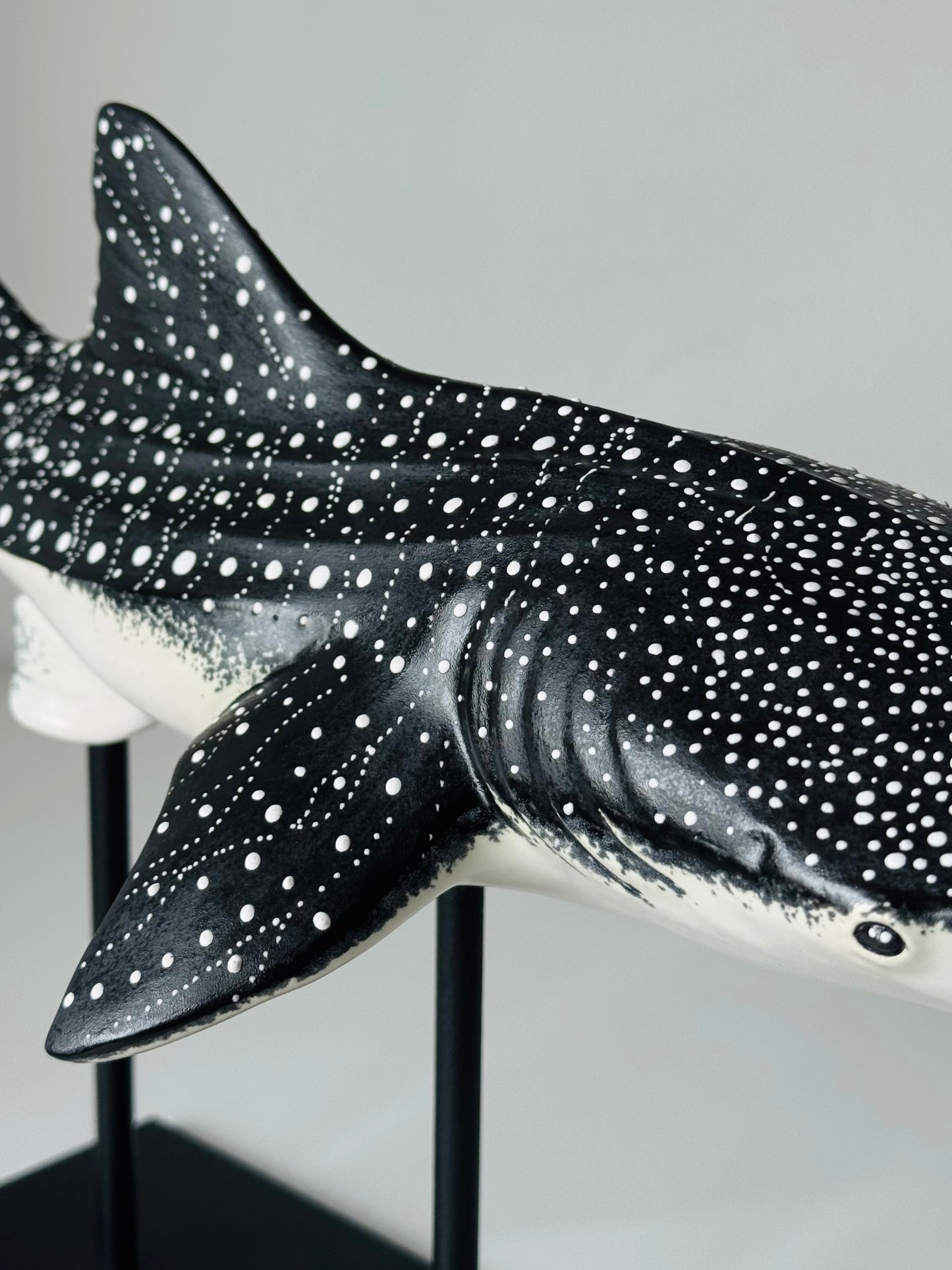 Whale Shark