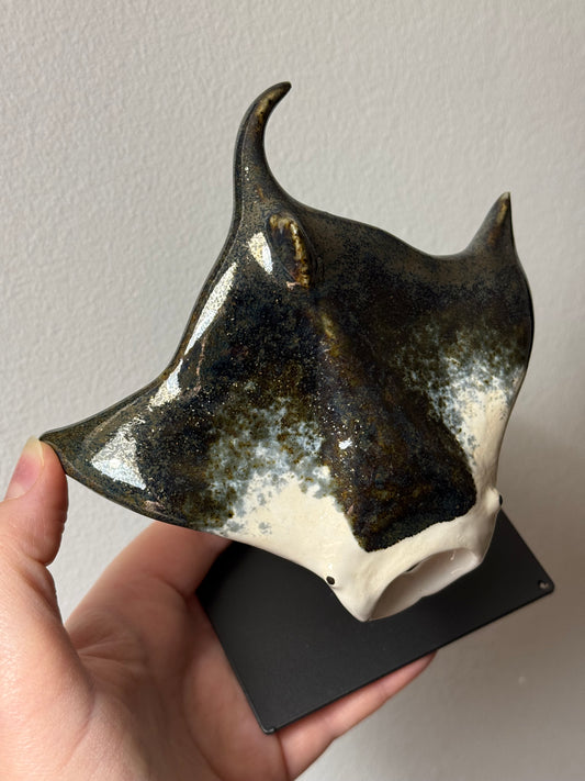 Manta Ray on a stand