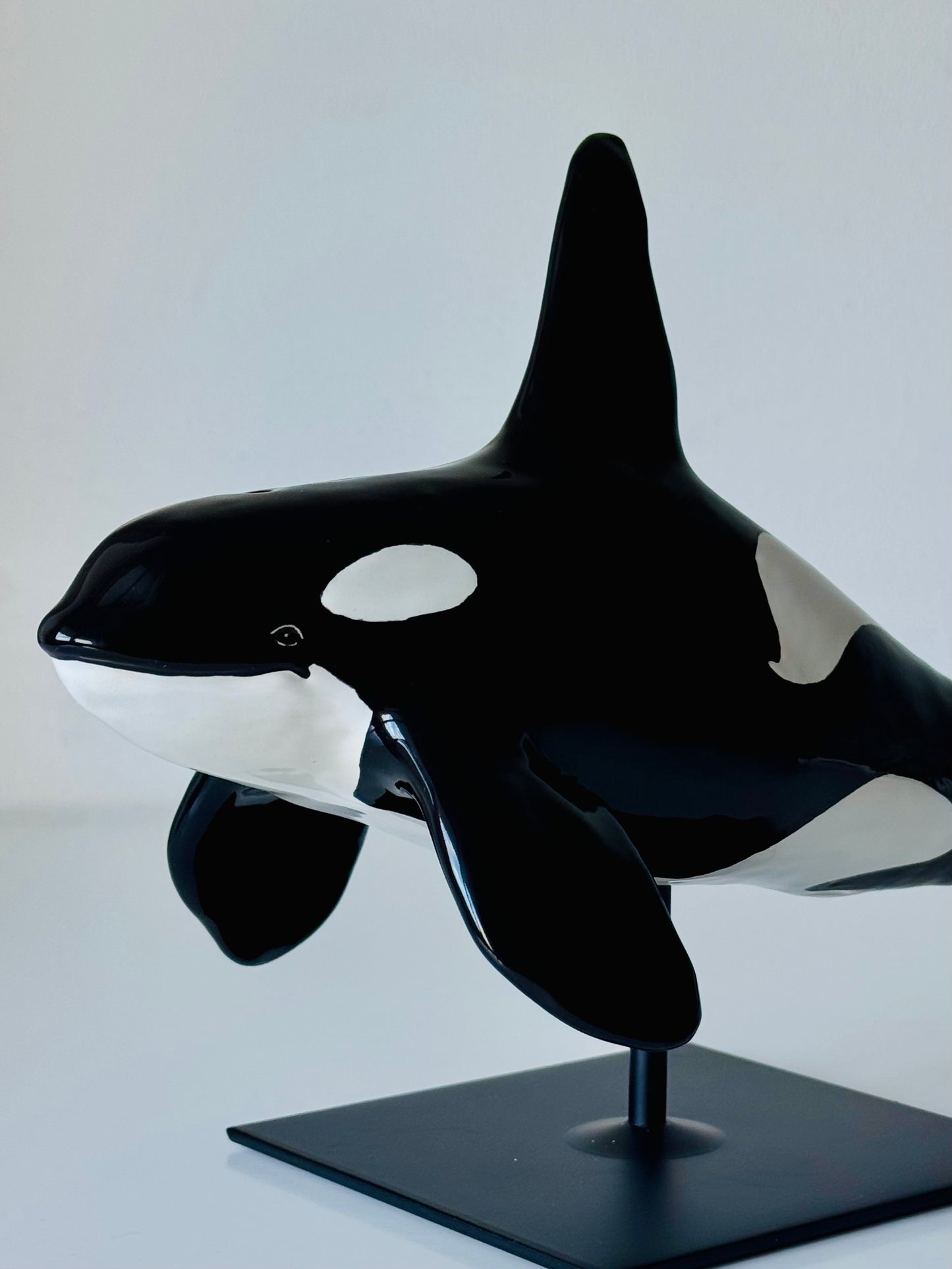 Male Orca on a stand
