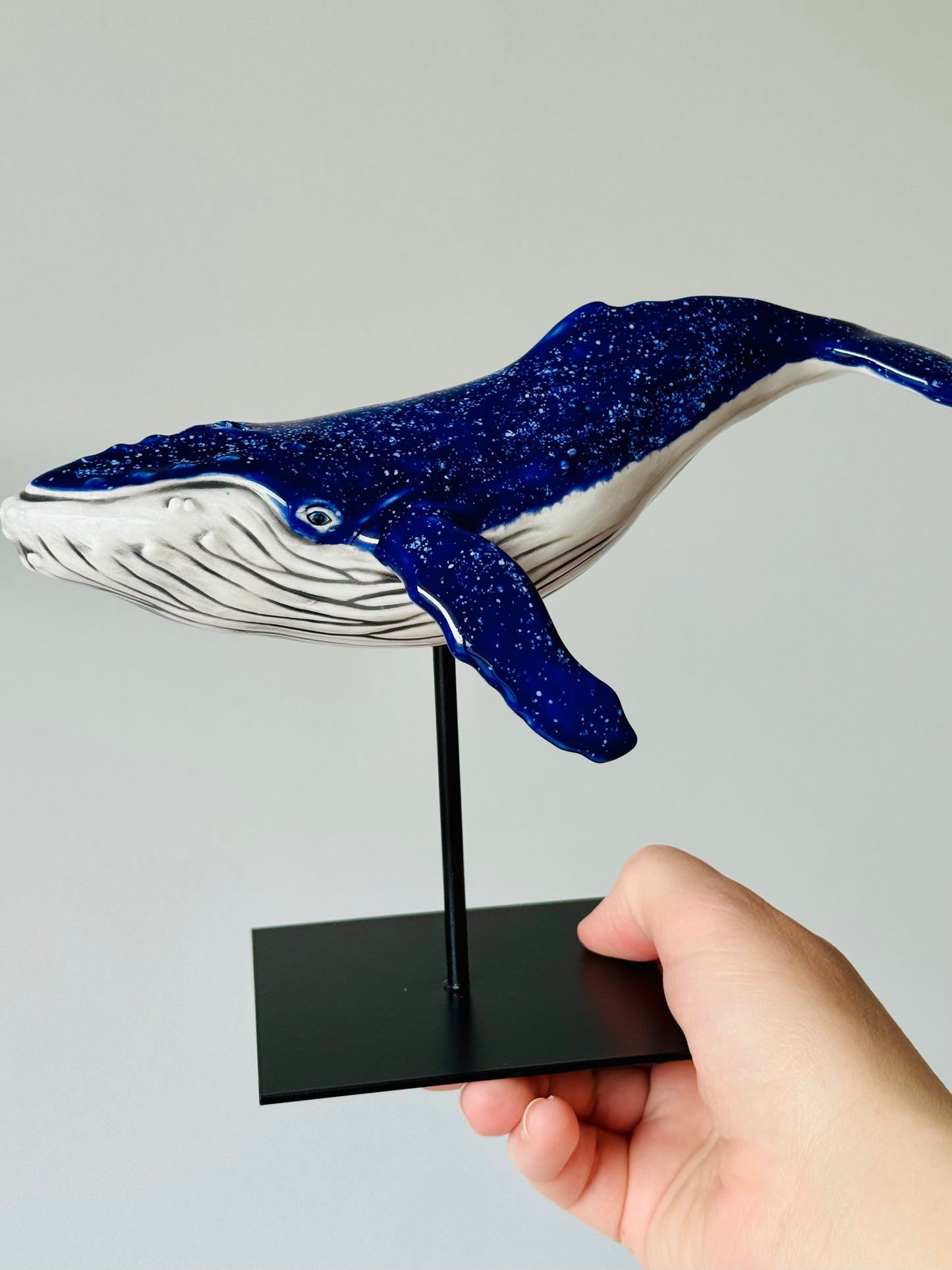 Baby Humpback Whale