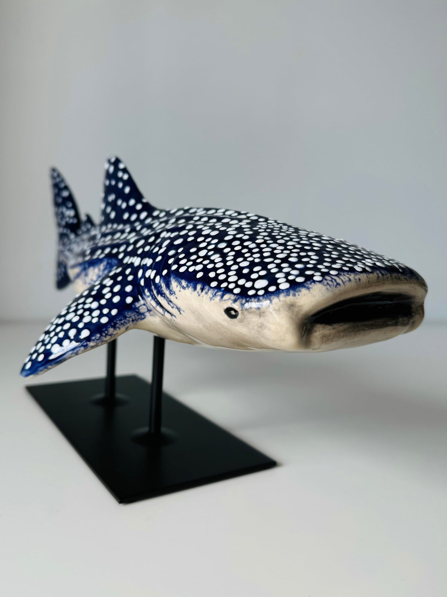 Whale Shark on a metal stand