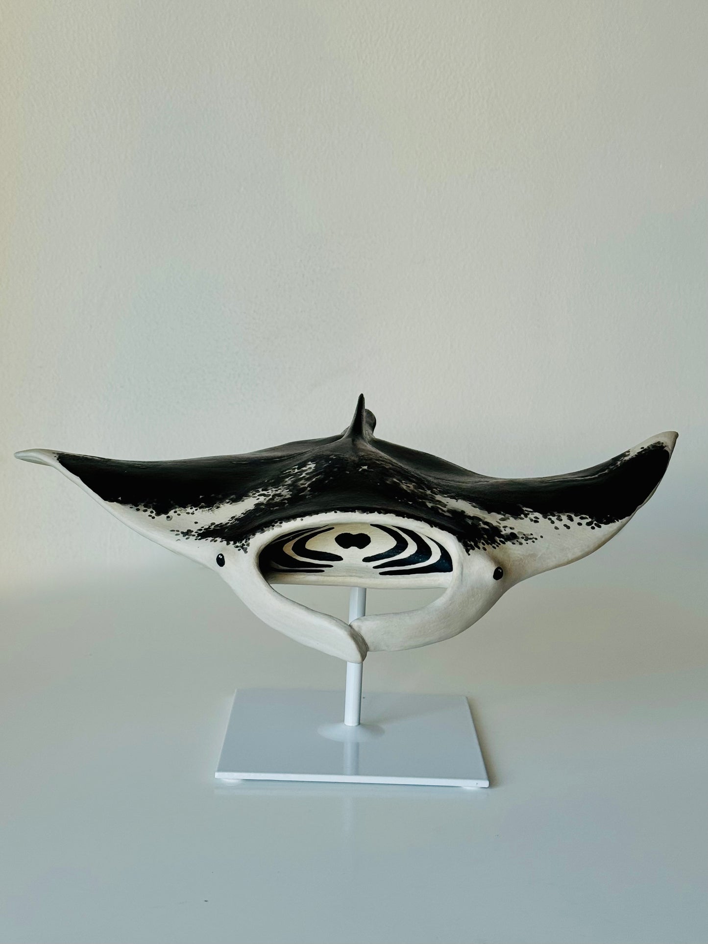 Big Manta Ray