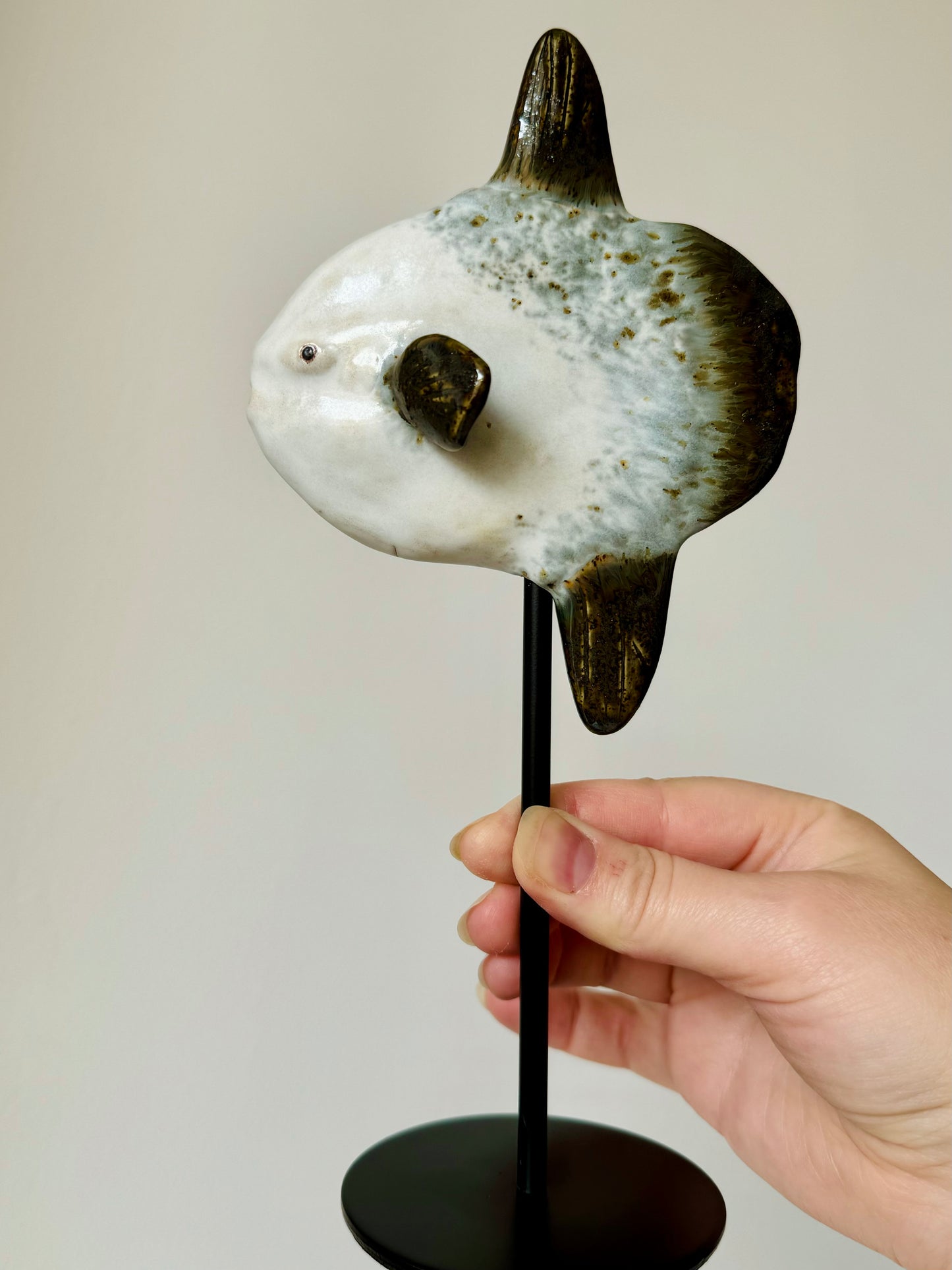 Mola Mola on a metal stand