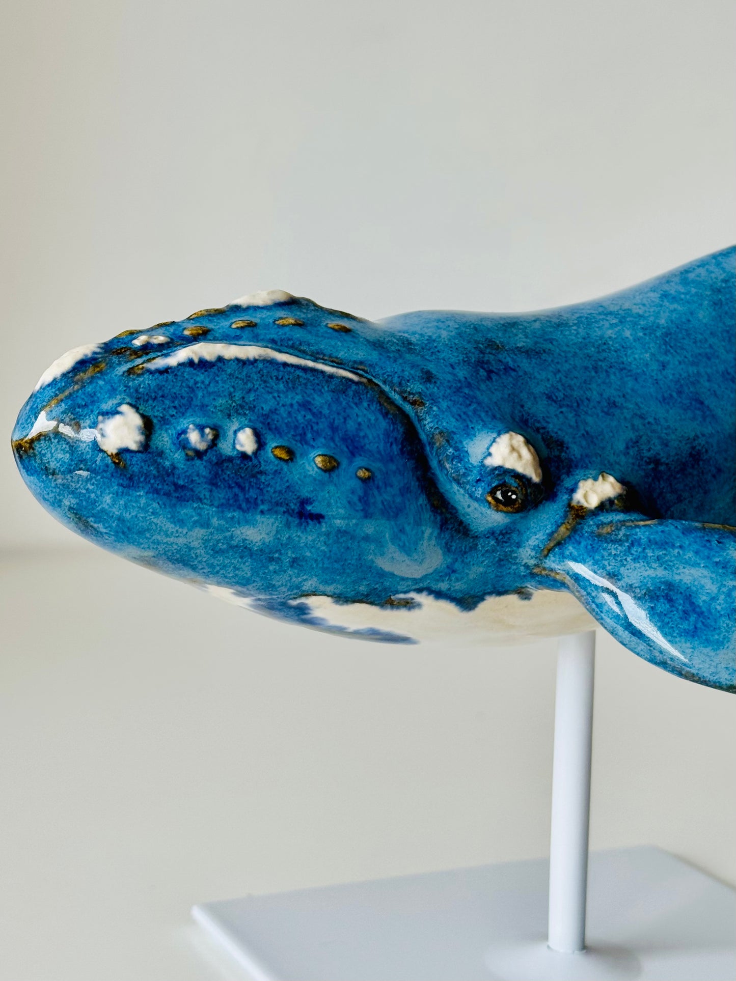 Right Whale on a metal stand