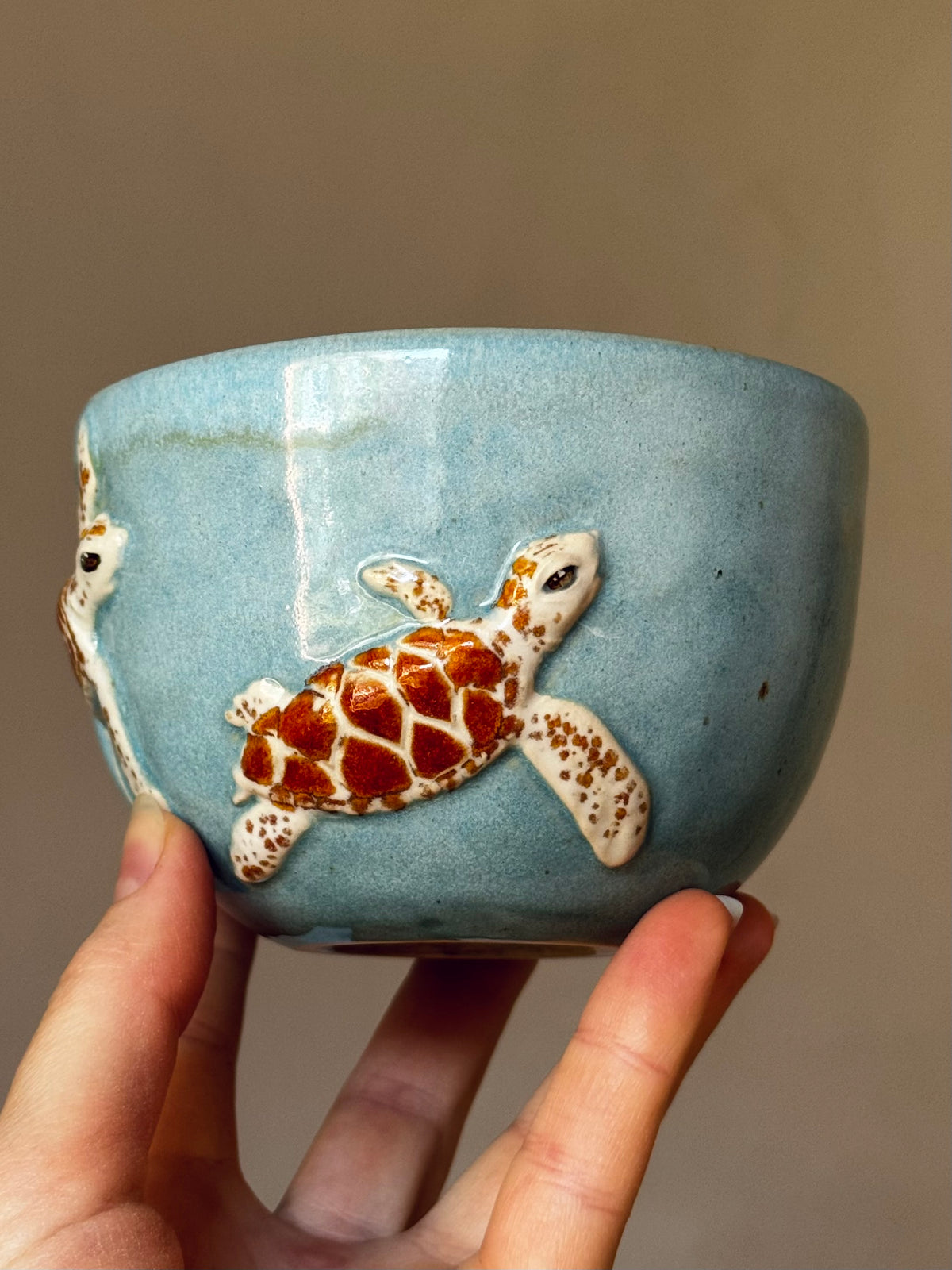 Sea Turtle Cup