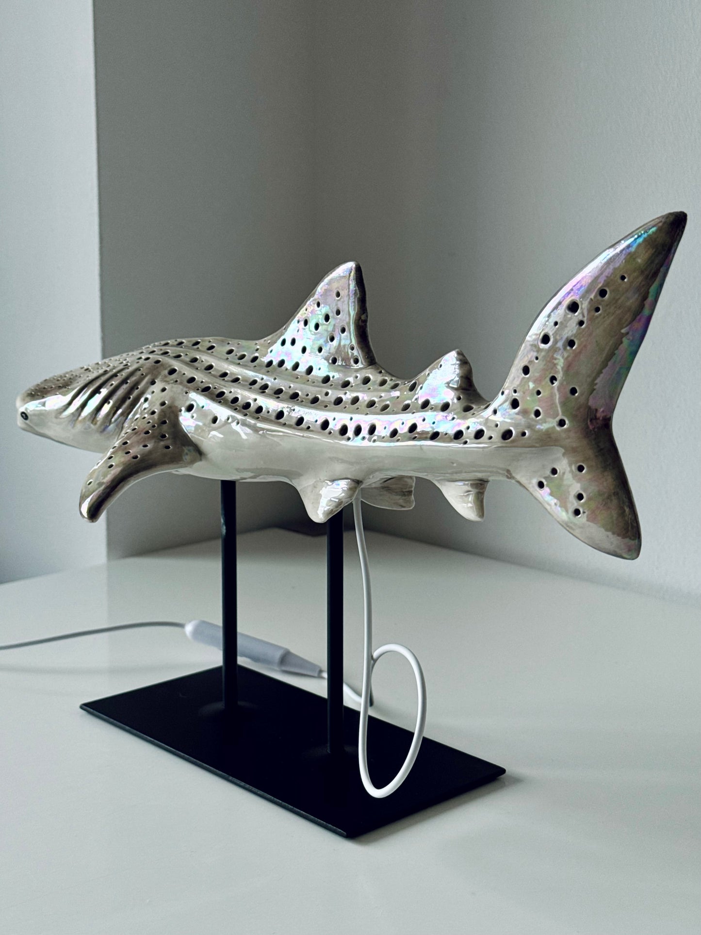Shark Lamp