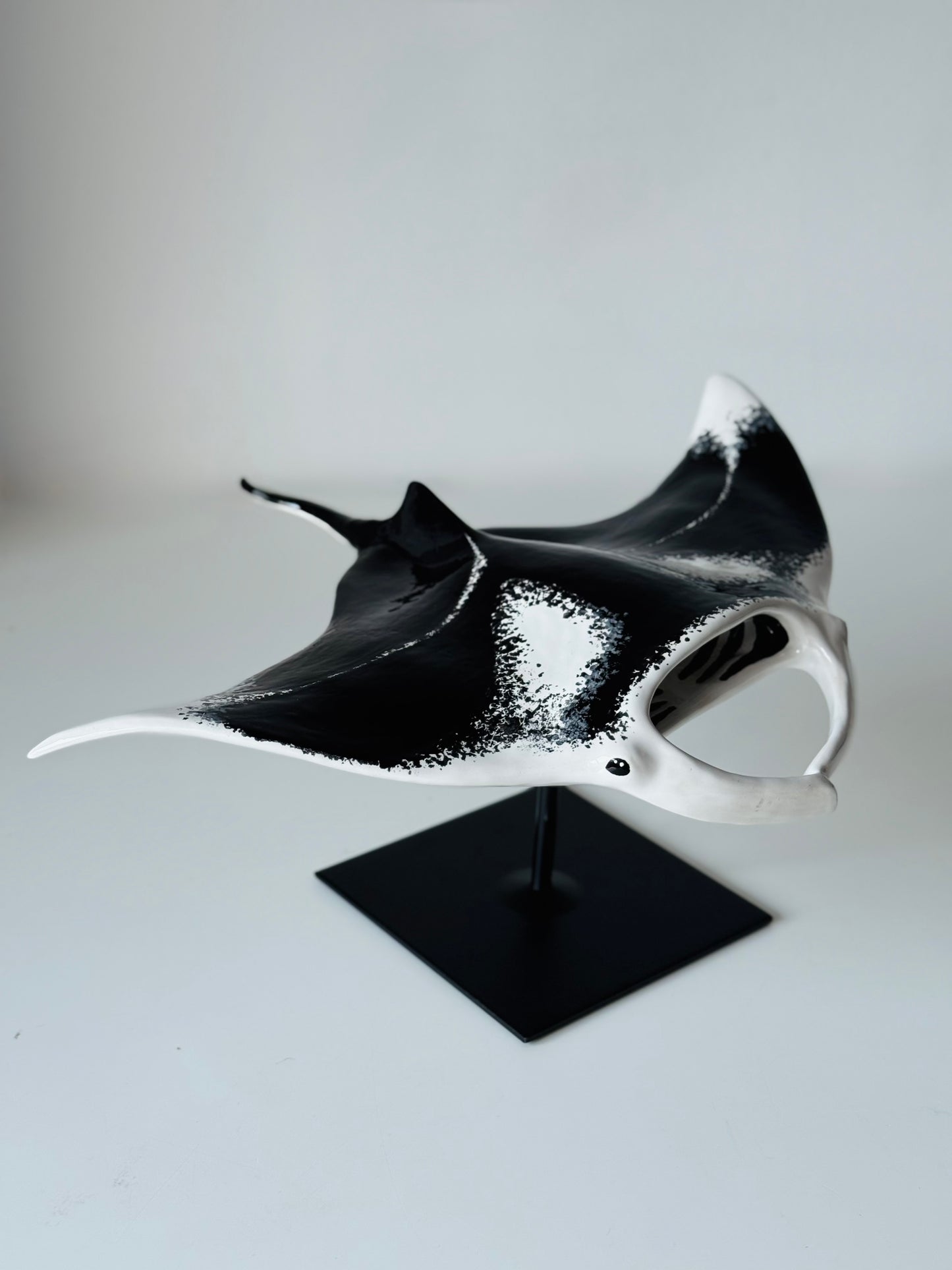 Big Manta Ray