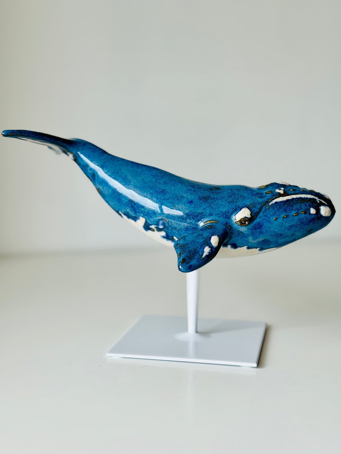 Right Whale on a metal stand
