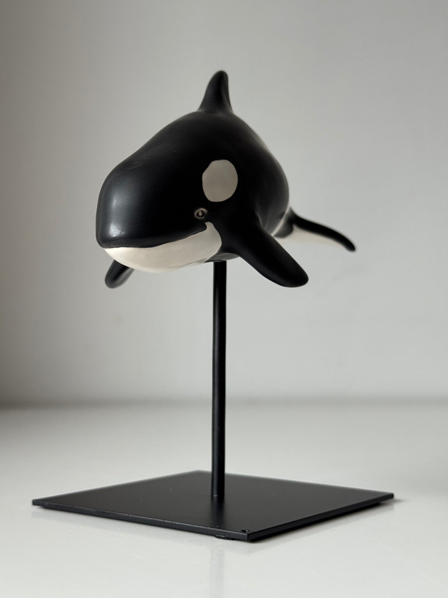 Baby Orca