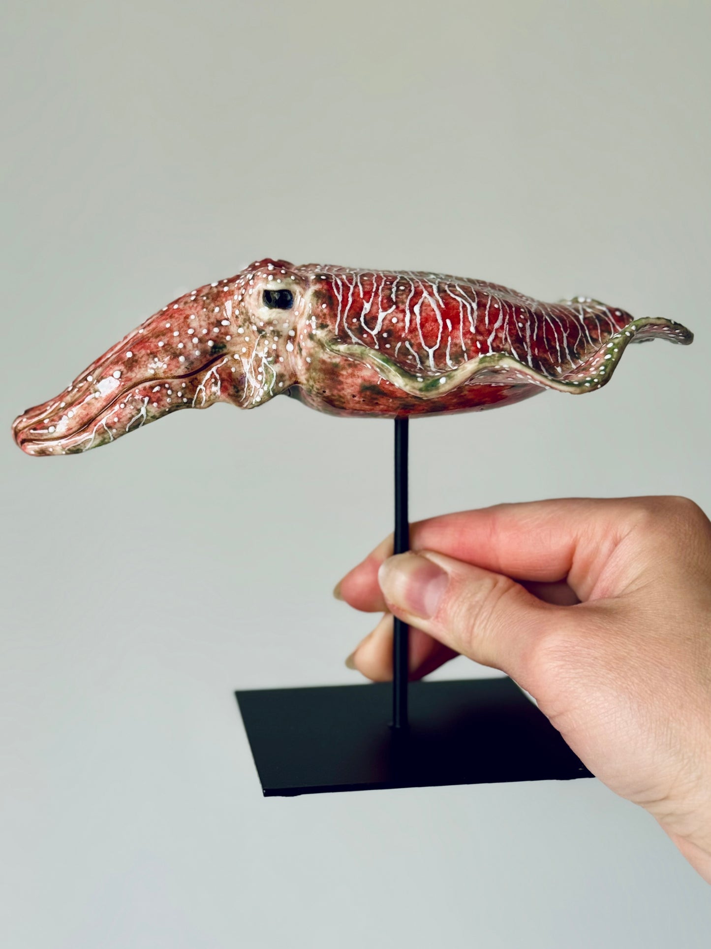 Cuttlefish