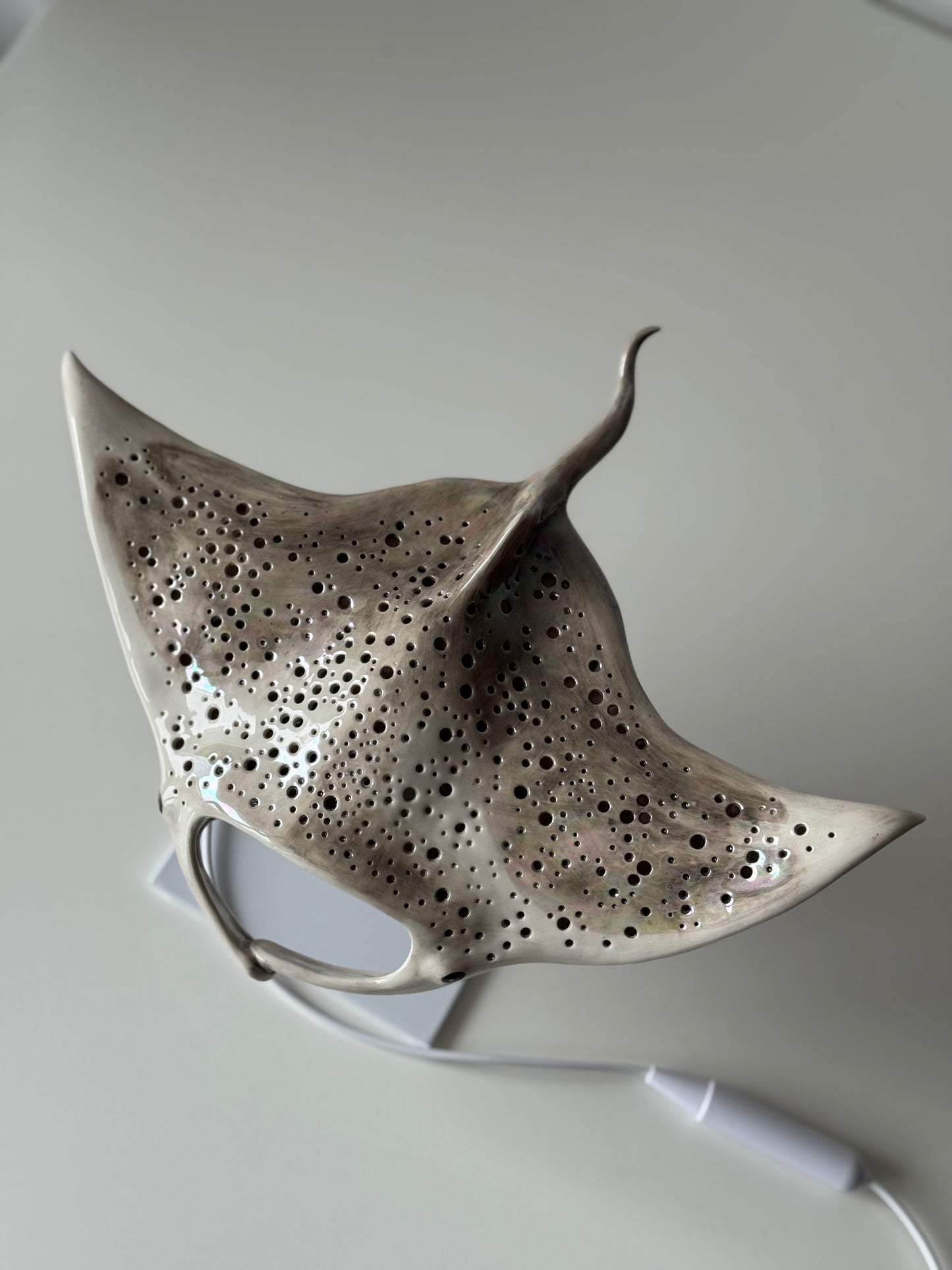 Big Manta Ray