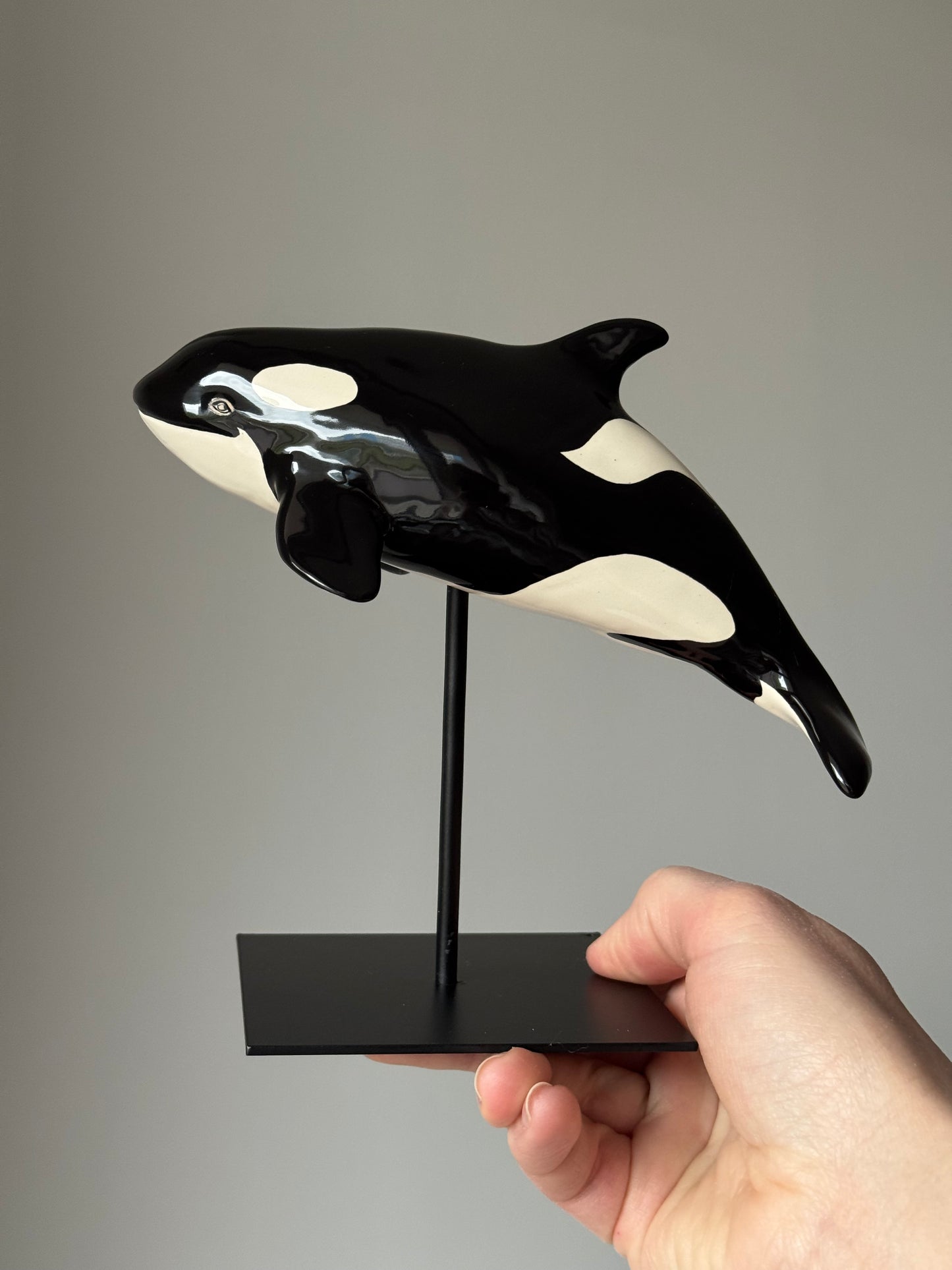 Baby Orca