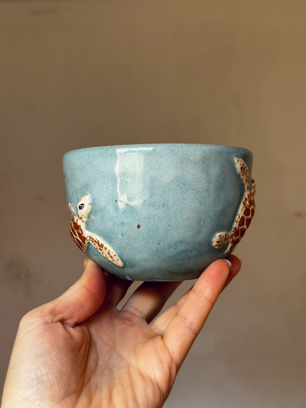 Sea Turtle Cup