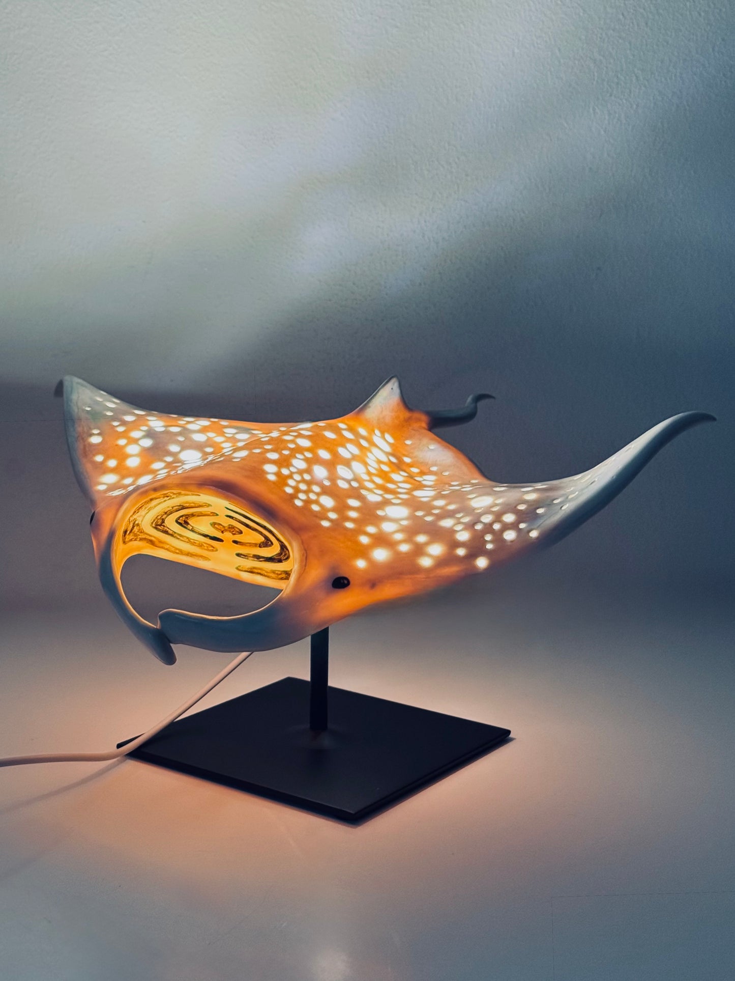 Big Manta Ray