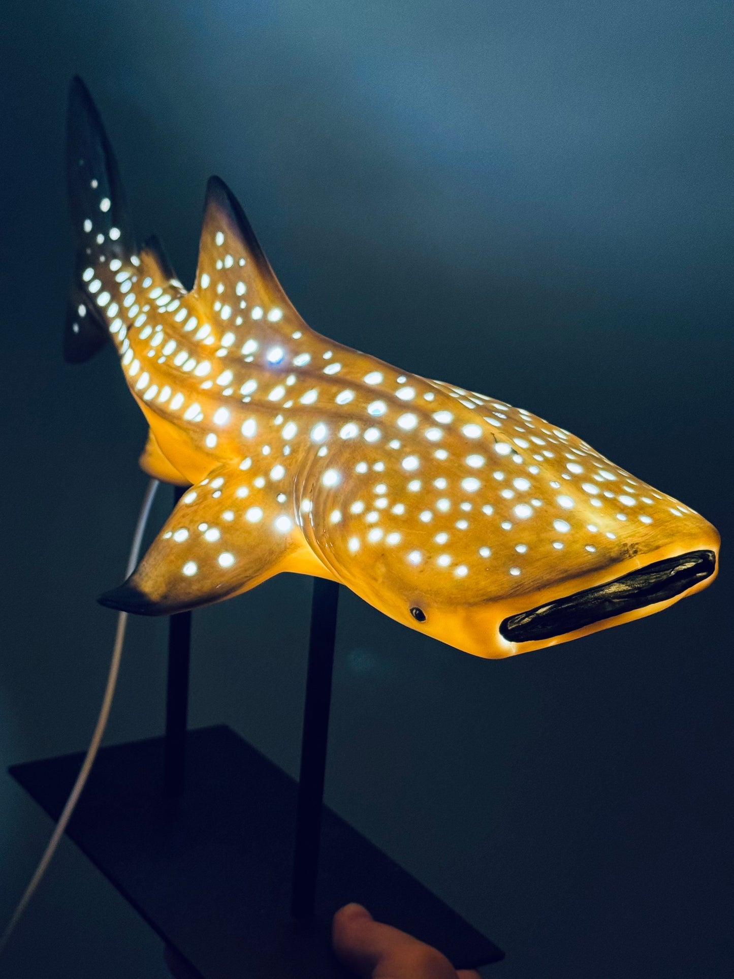 Shark Lamp