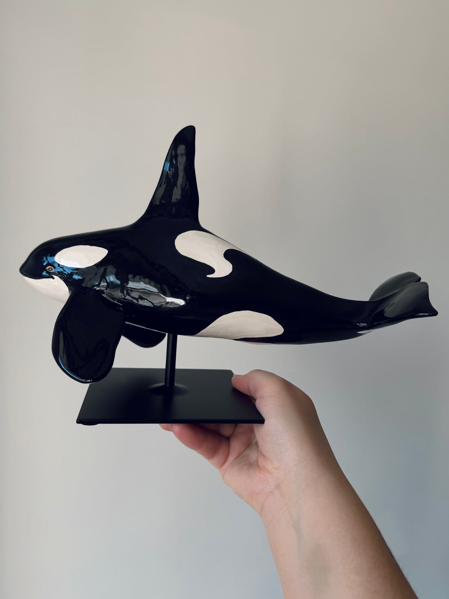 Male Orca on a stand