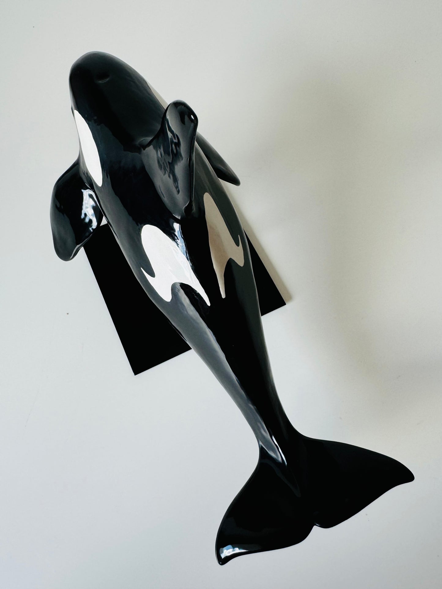 Male Orca on a stand