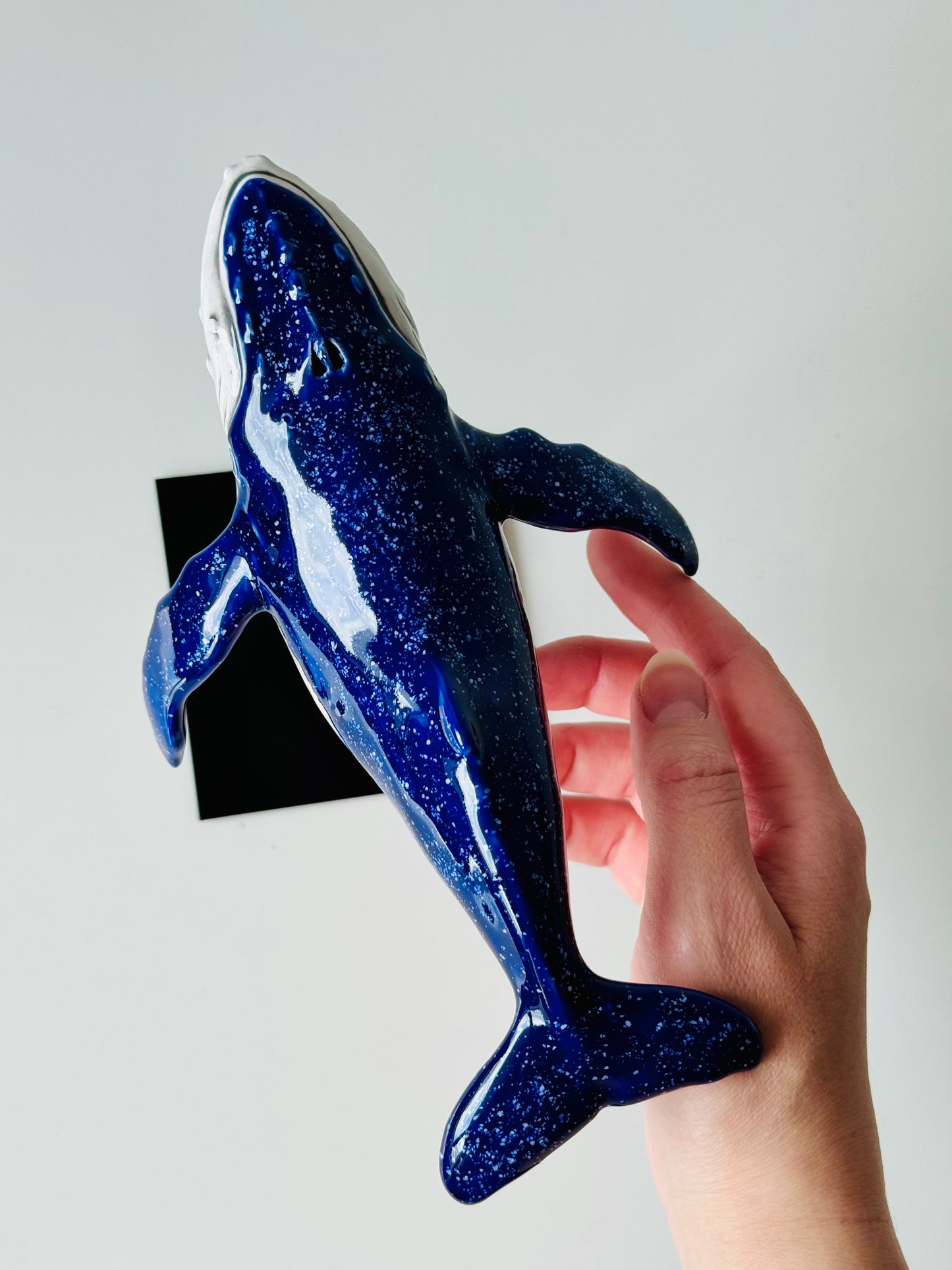 Baby Humpback Whale