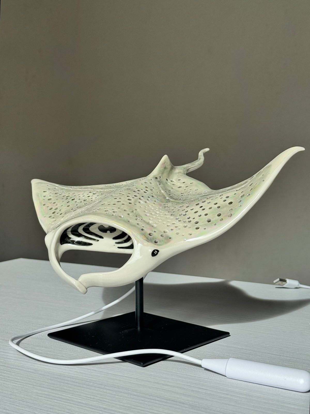Big Manta Ray