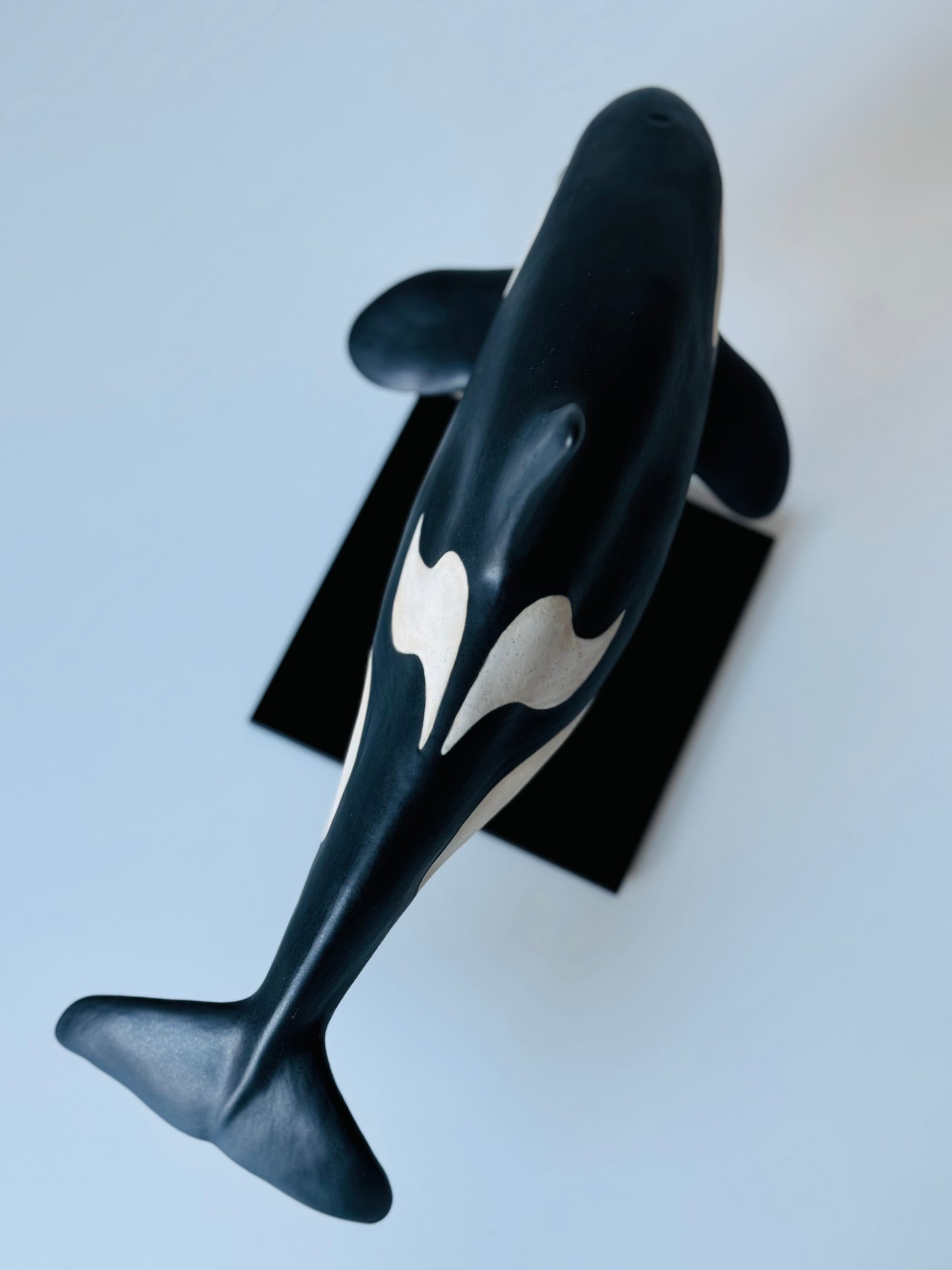 Orca on a stand