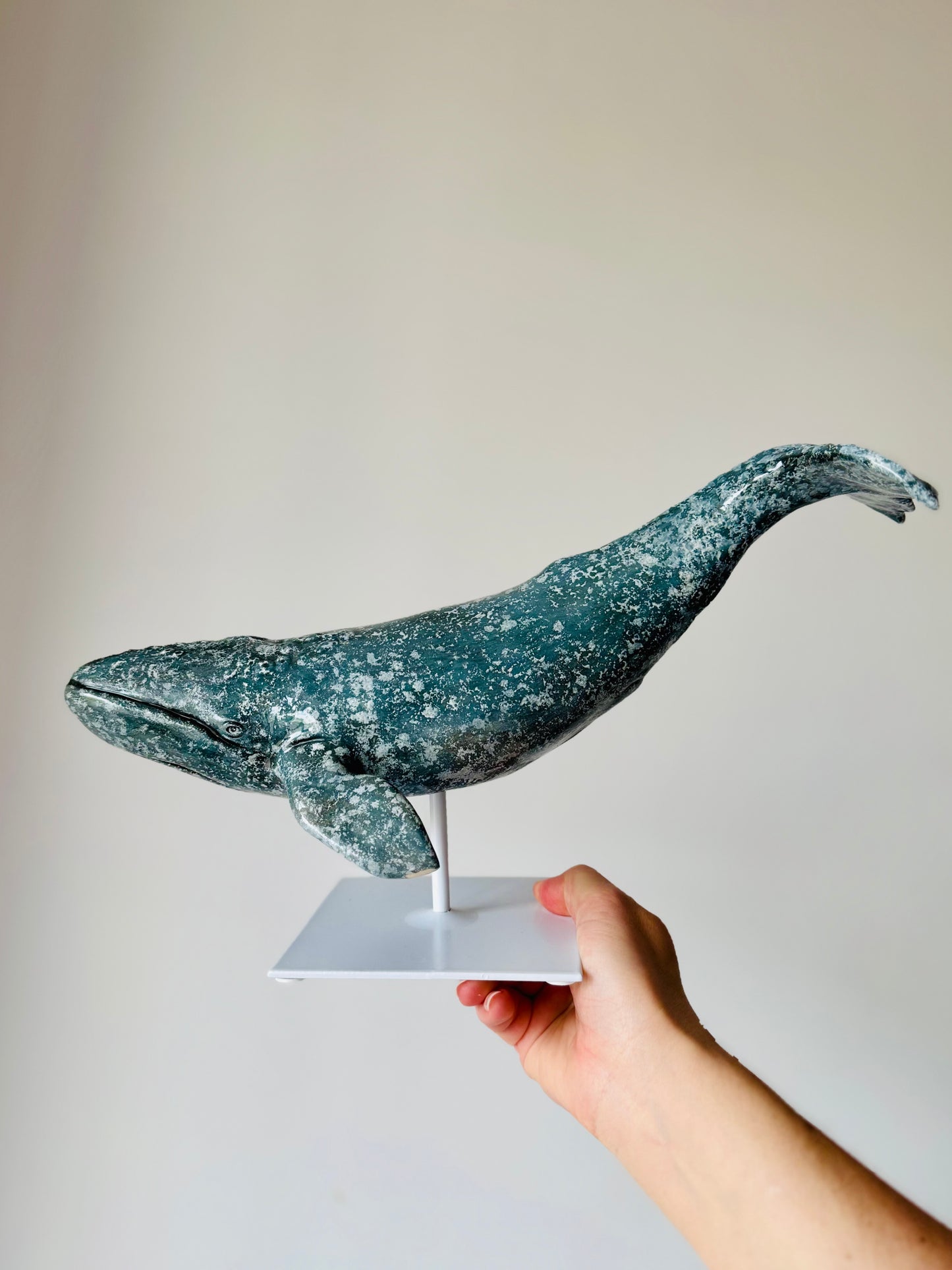 Gray whale on a stand