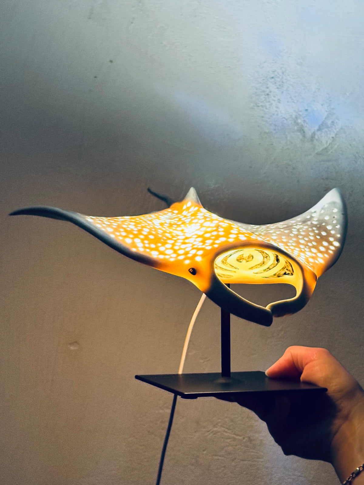 Big Manta Ray