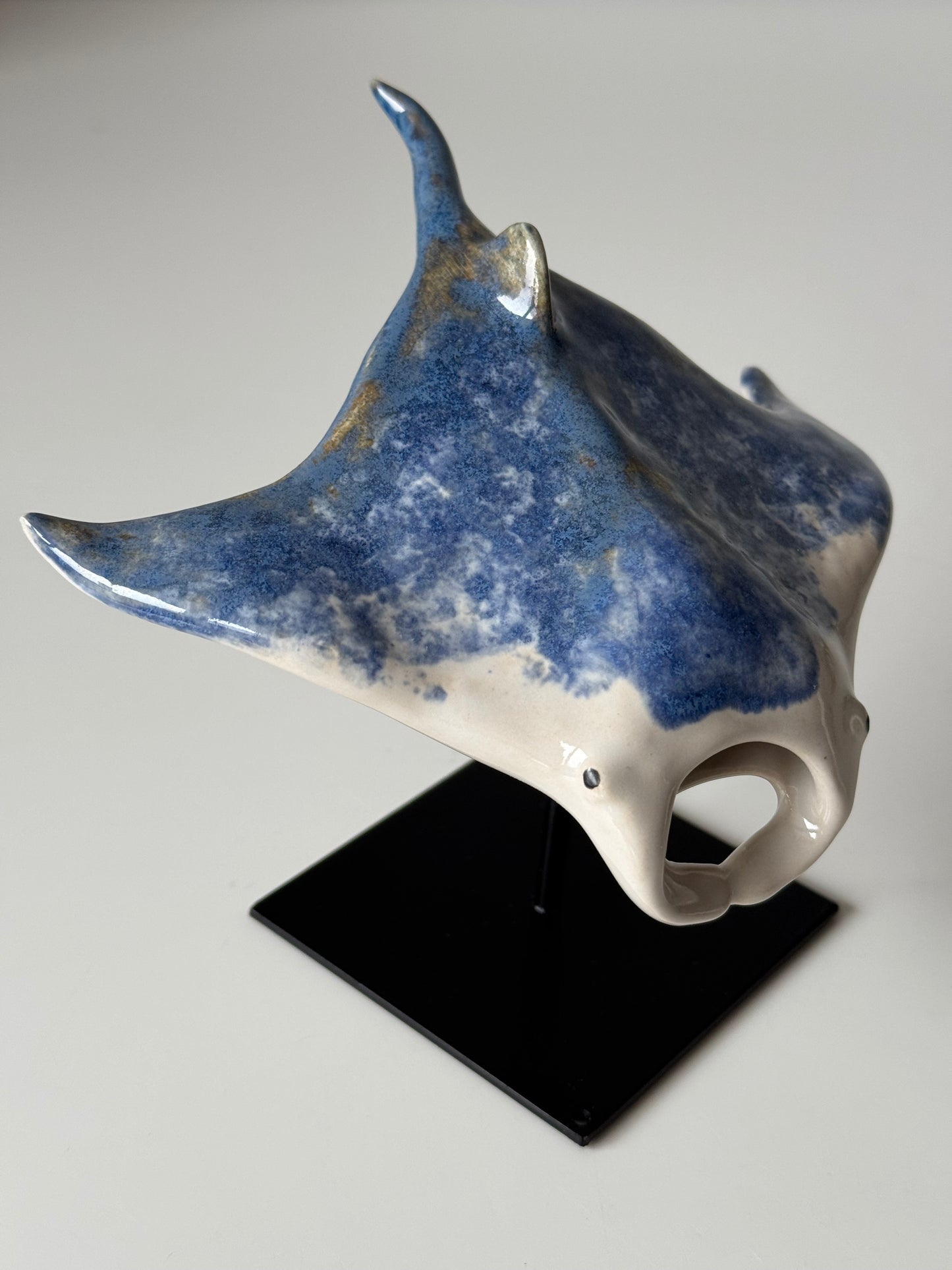 Manta Ray on a stand