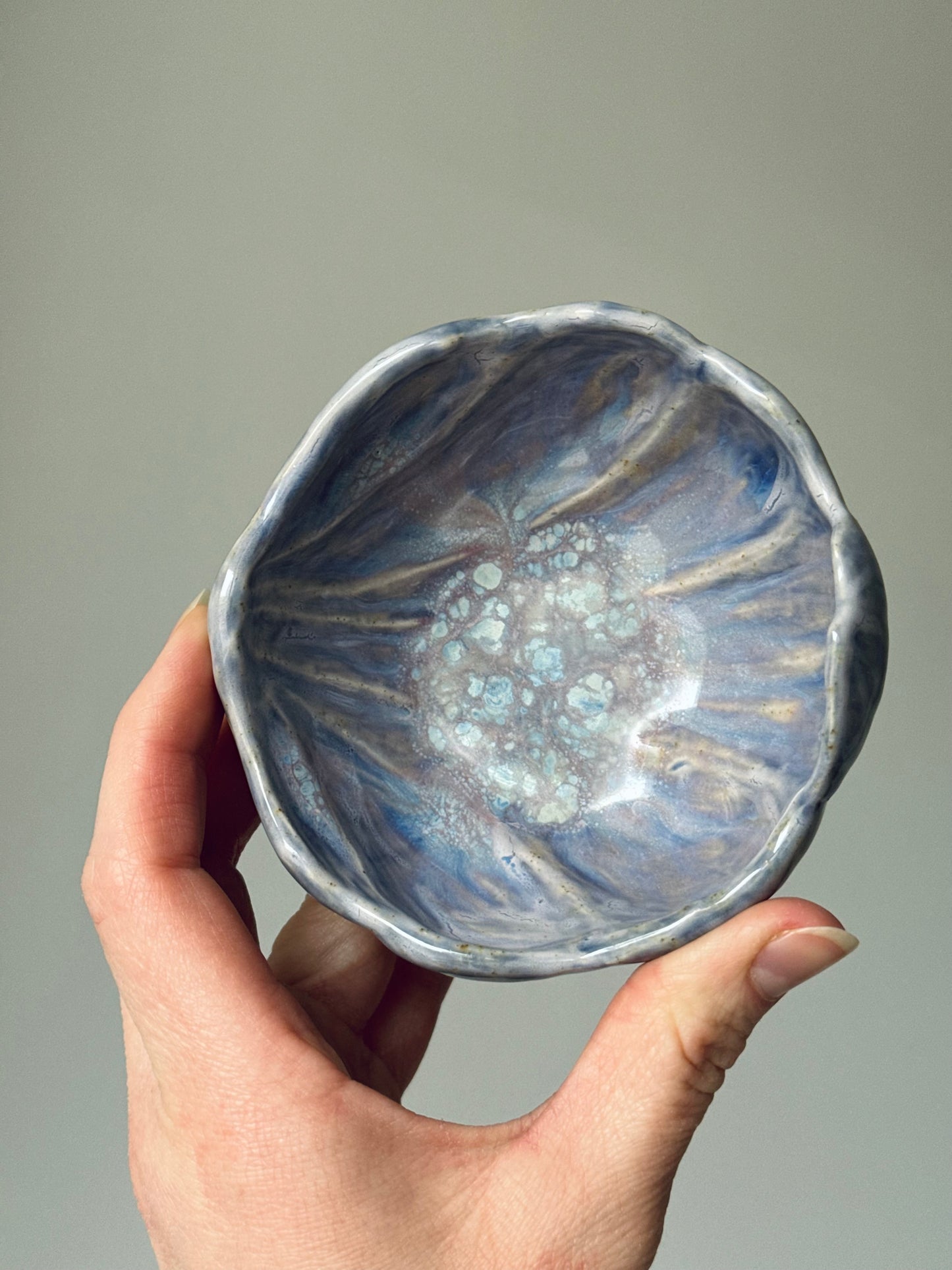 Shell-shaped plate