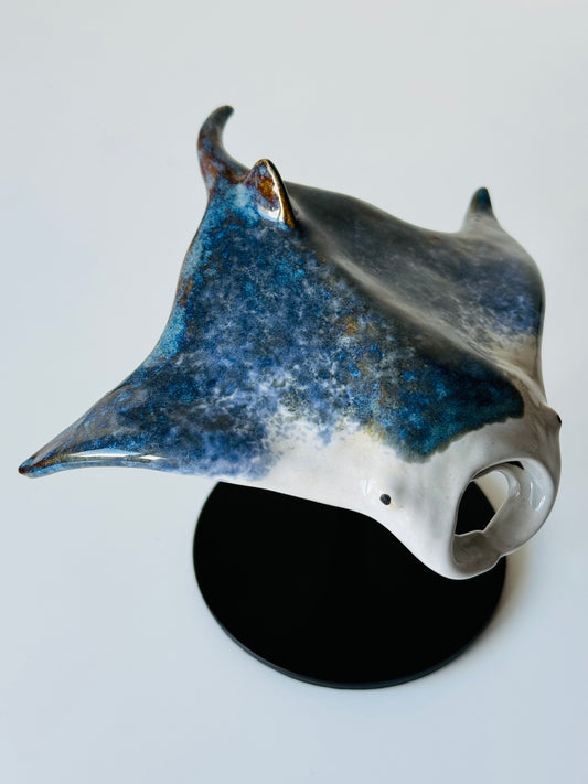 Manta Ray on a stand