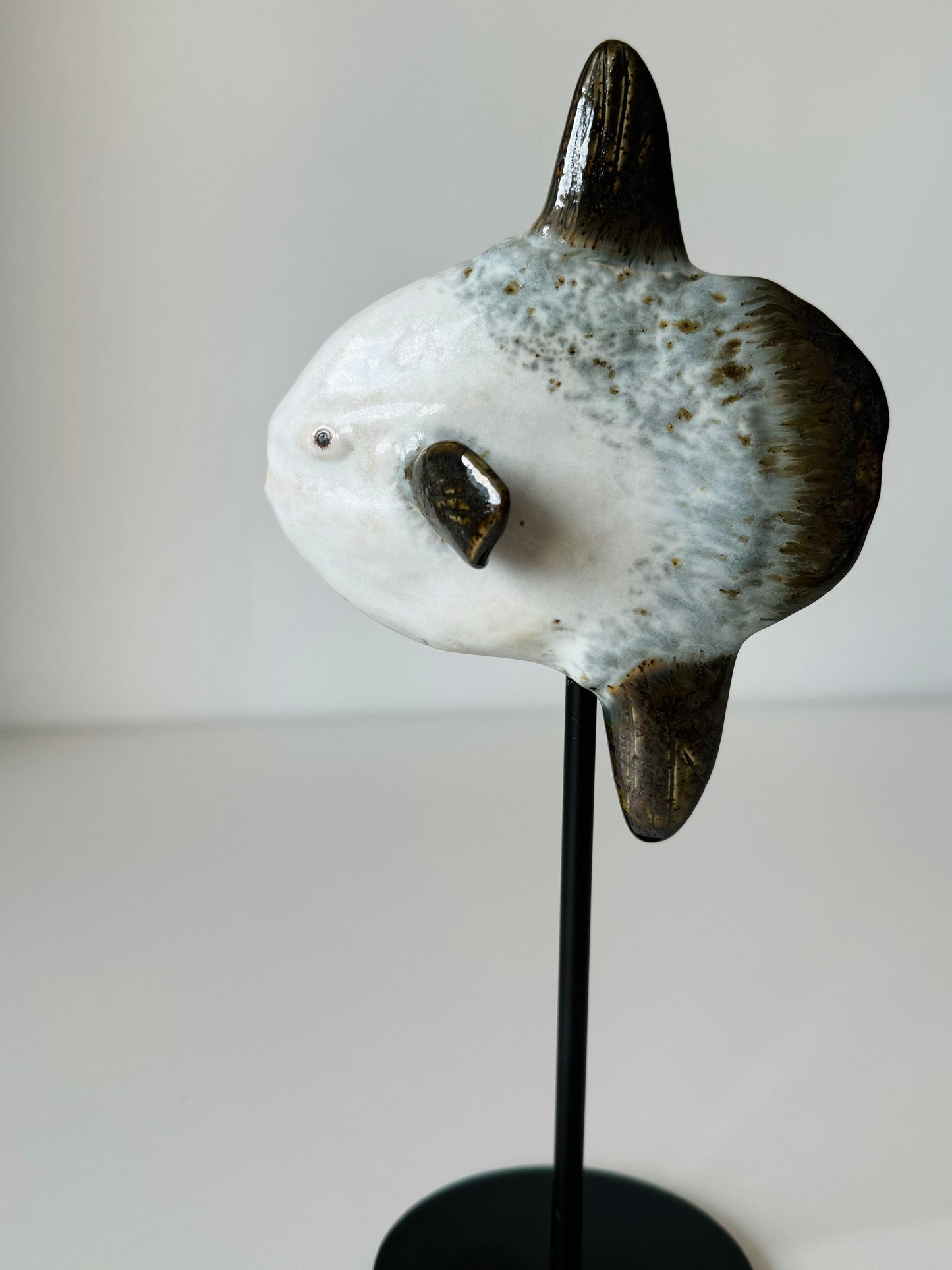 Mola Mola on a metal stand