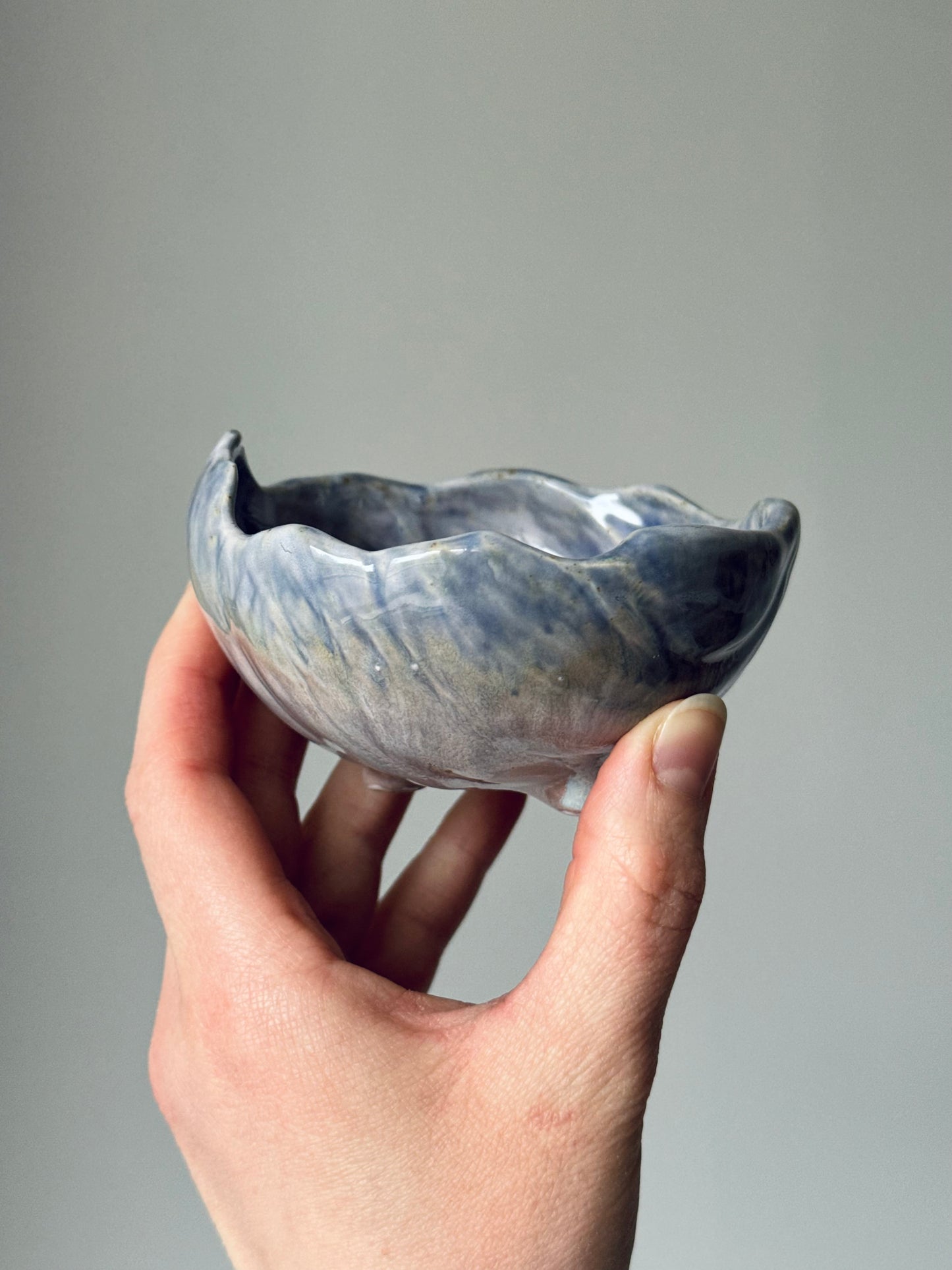 Shell-shaped plate