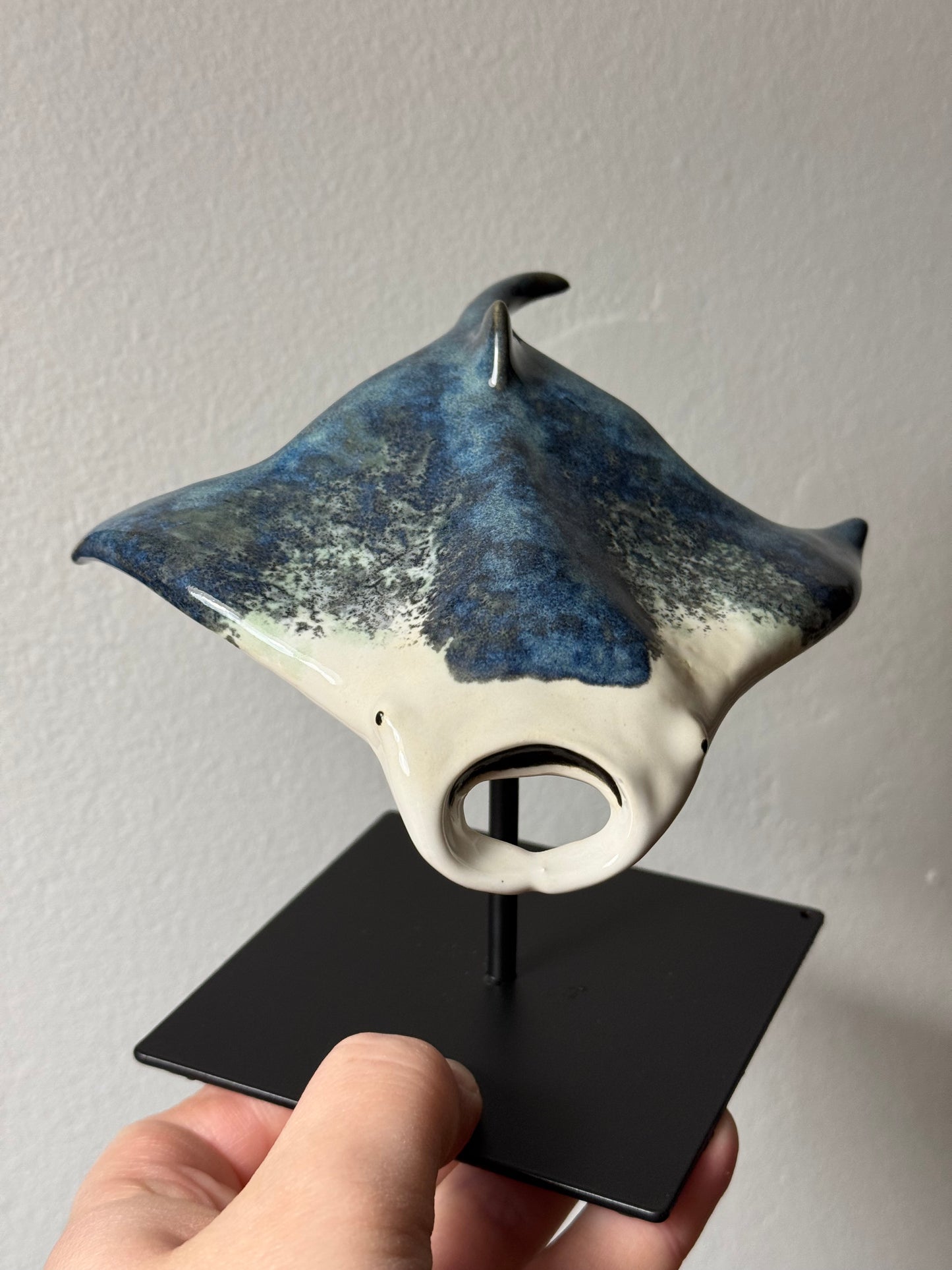 Manta Ray on a stand