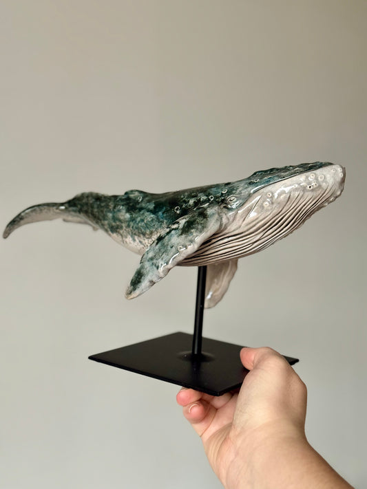 Humpback Whale