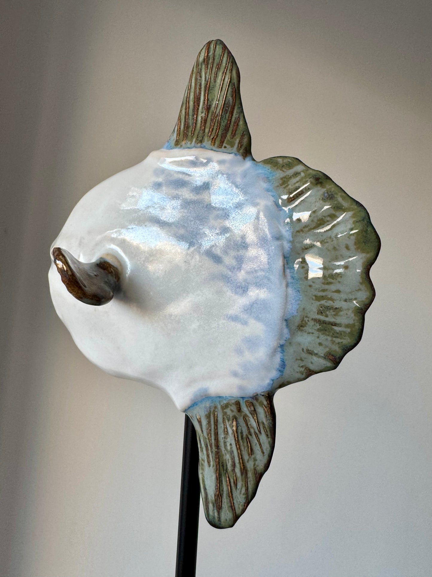 Mola Mola on a metal stand