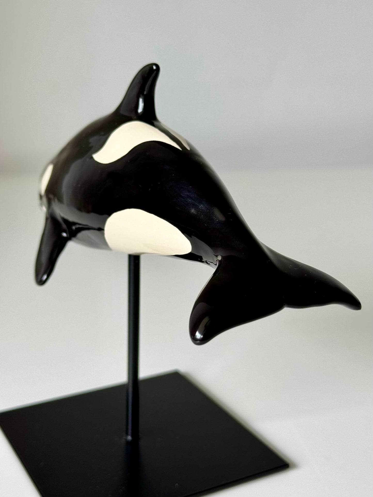 Baby Orca