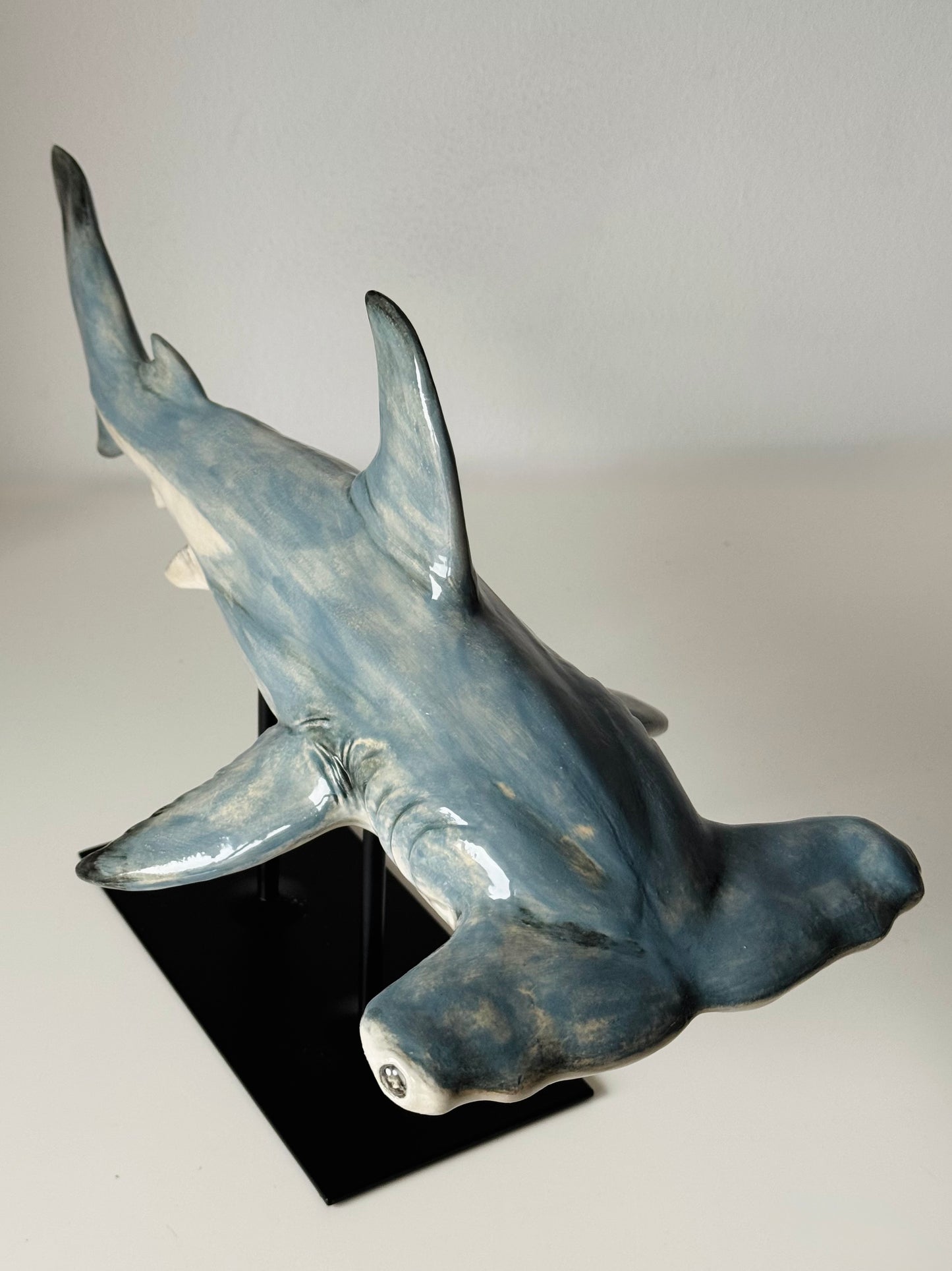 Hammerhead Shark