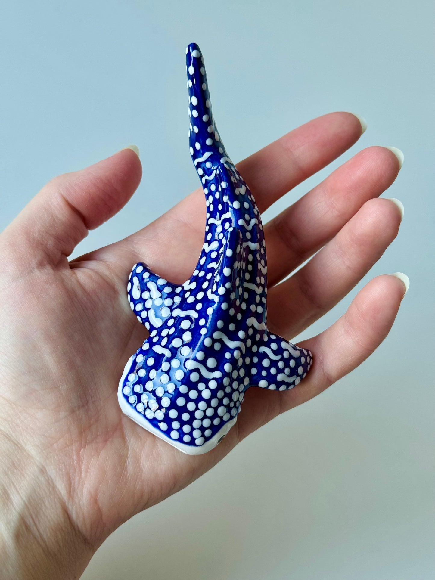 Baby Whale Shark
