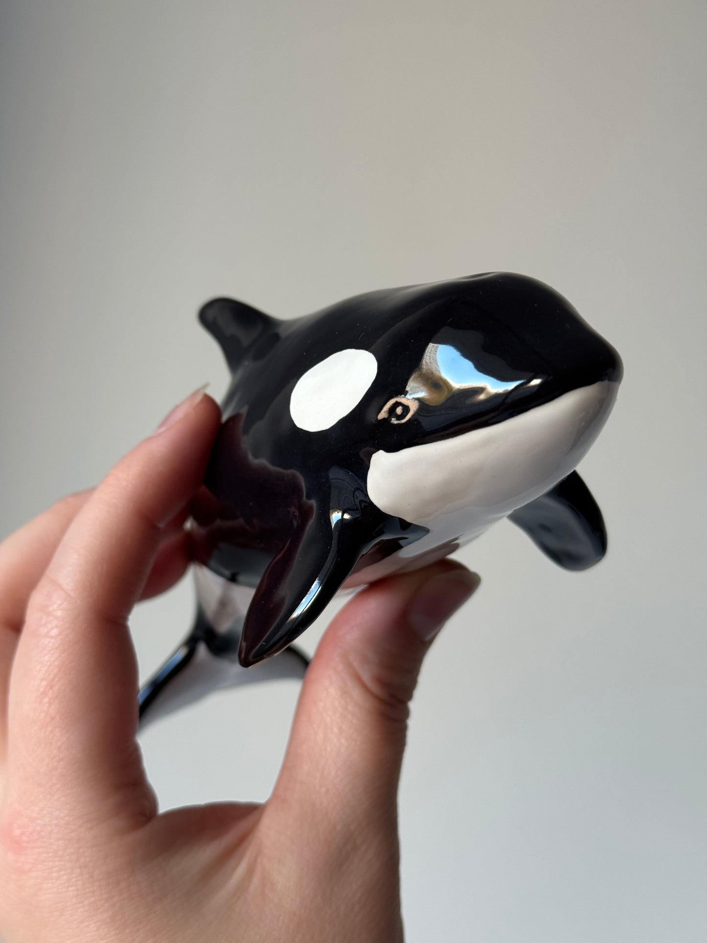 Baby Orca