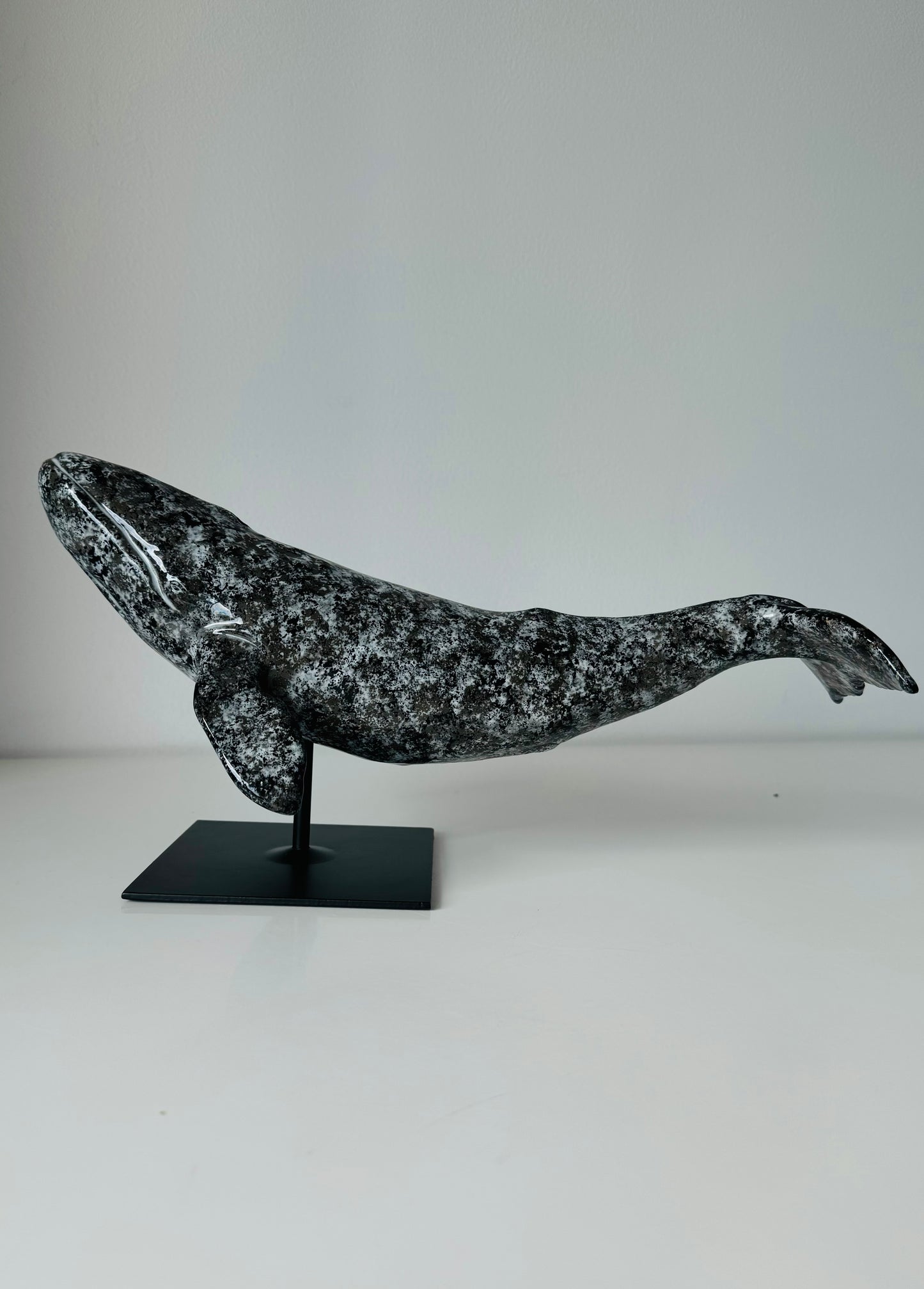 Gray whale on a stand