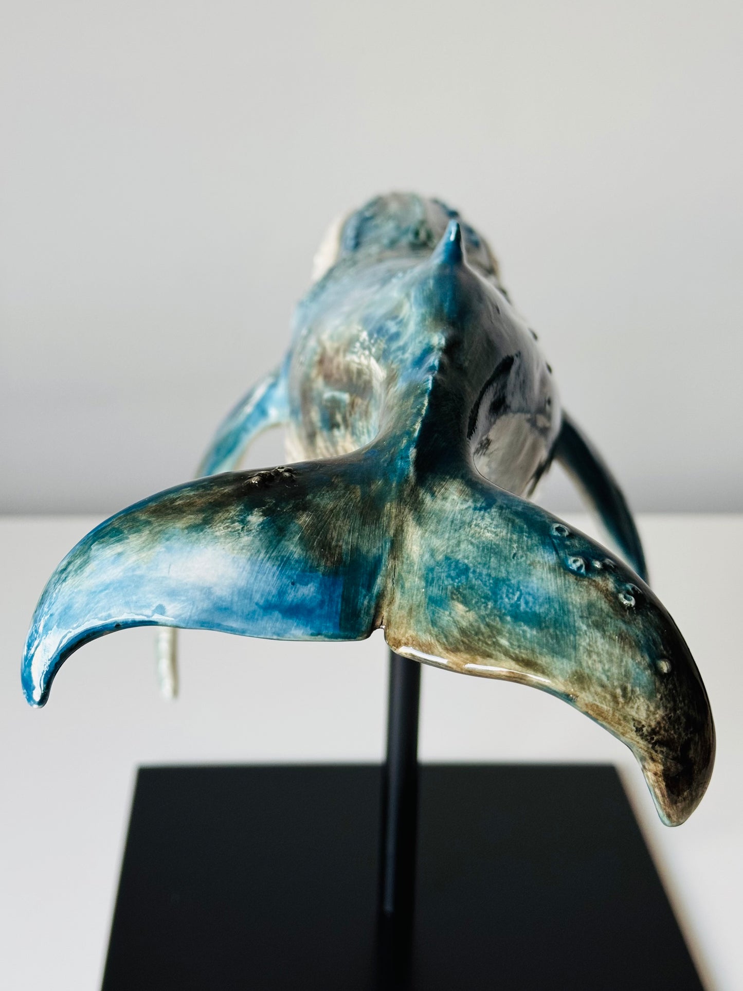 Big Humpback Whale