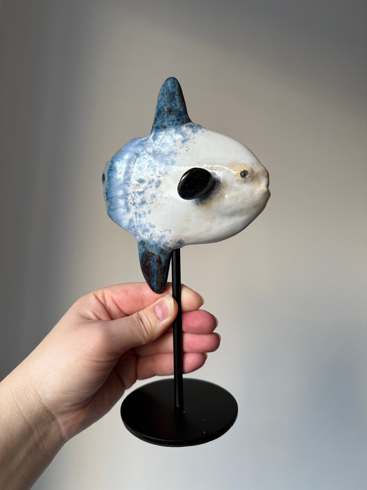 Mola Mola on a metal stand