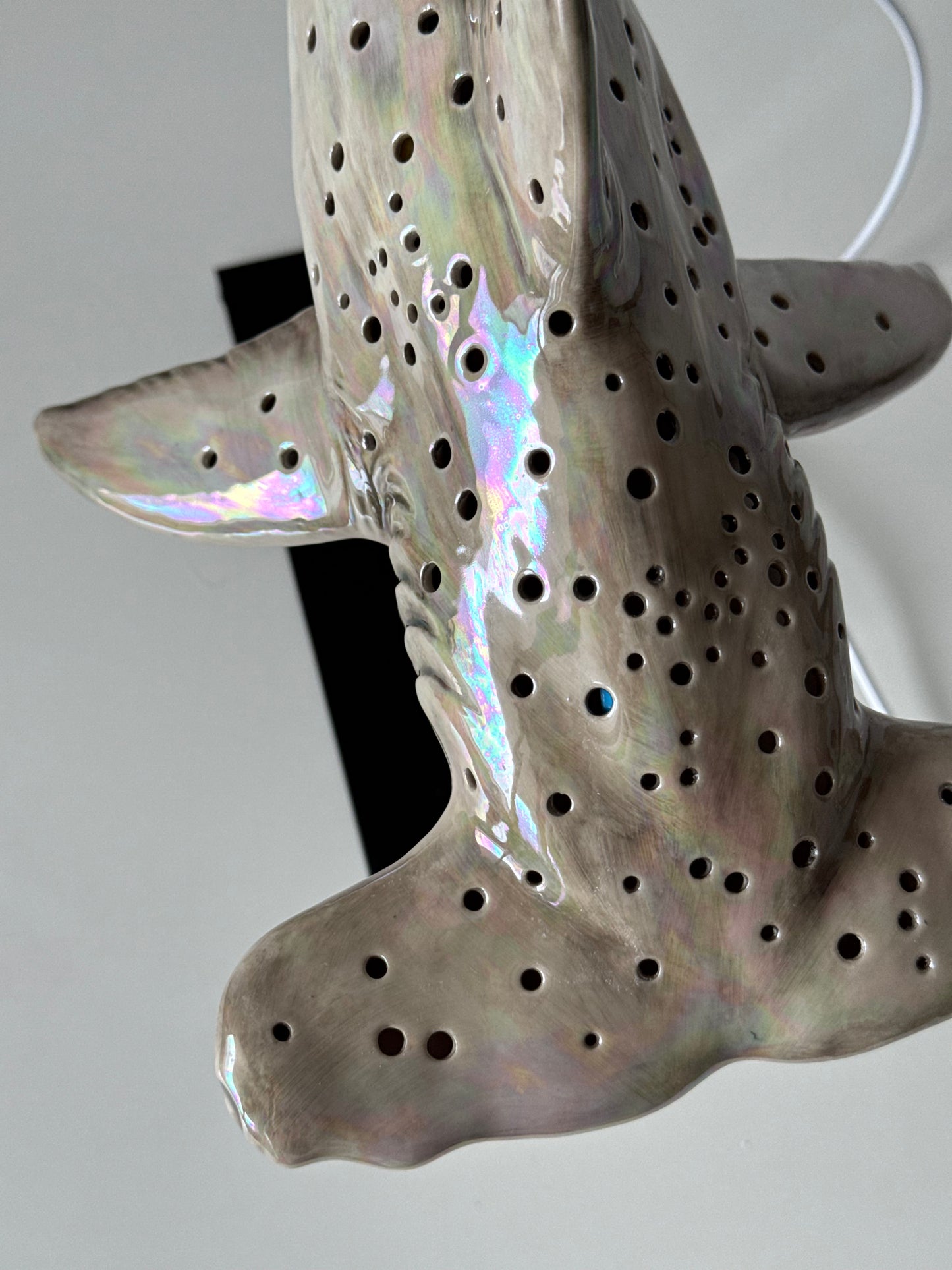 Hammerhead Shark Lamp