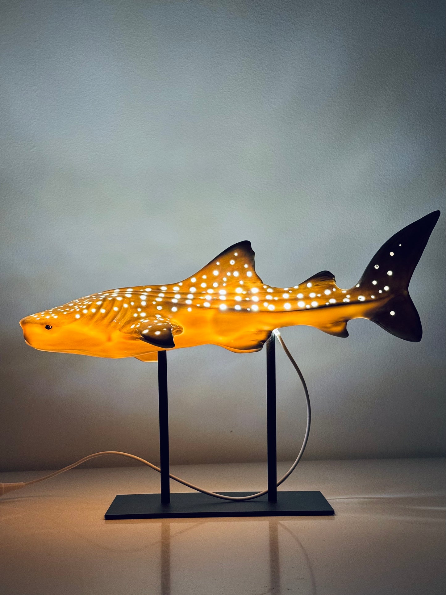Shark Lamp