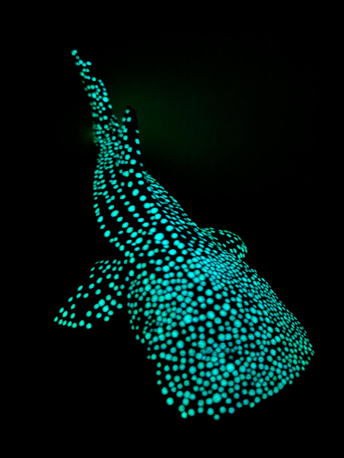 Glowing Whale Shark