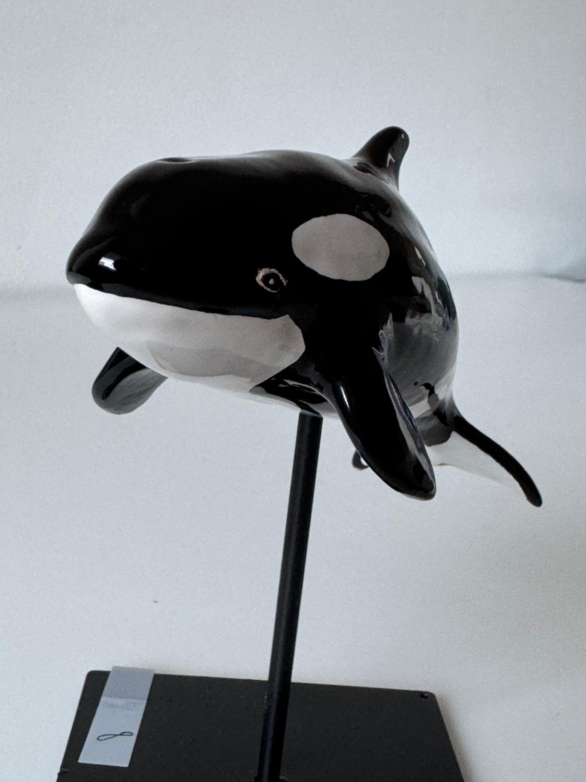 Baby Orca